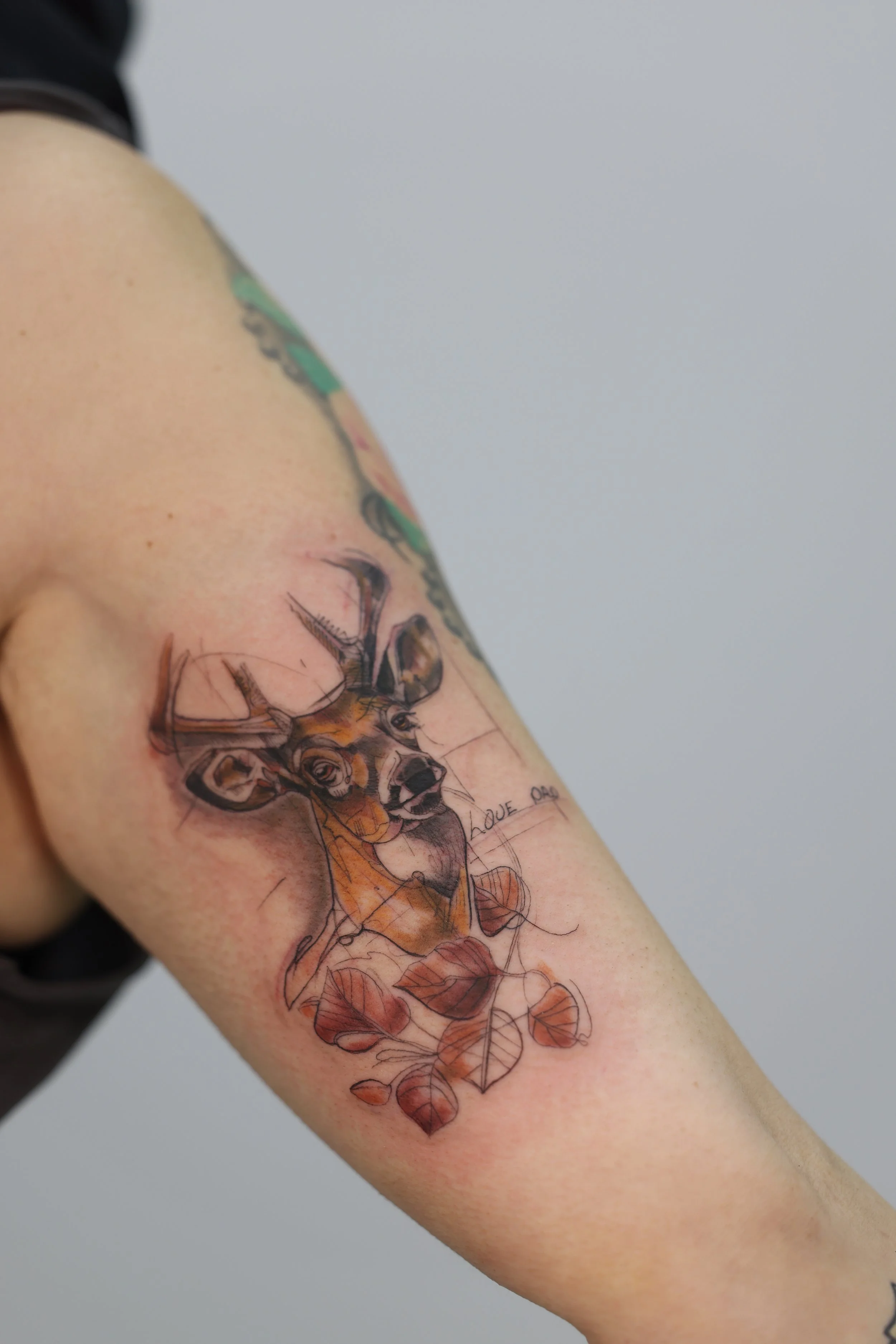 Close-up of a person's arm with colorful tattoos, including a deer head and various plants, against a plain gray background.