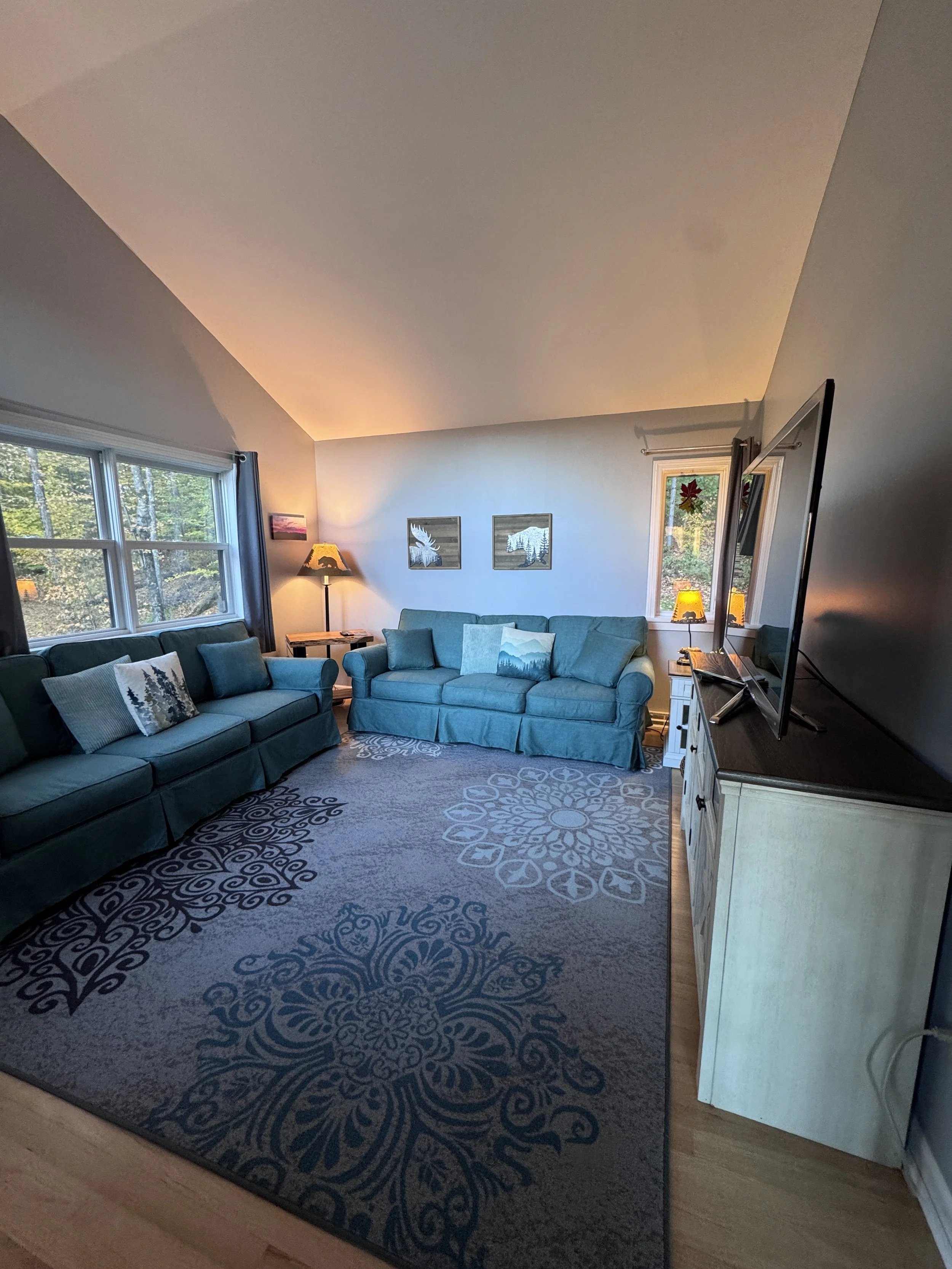 Separate den with 50" smart TV and Roku, games, books and puzzles.