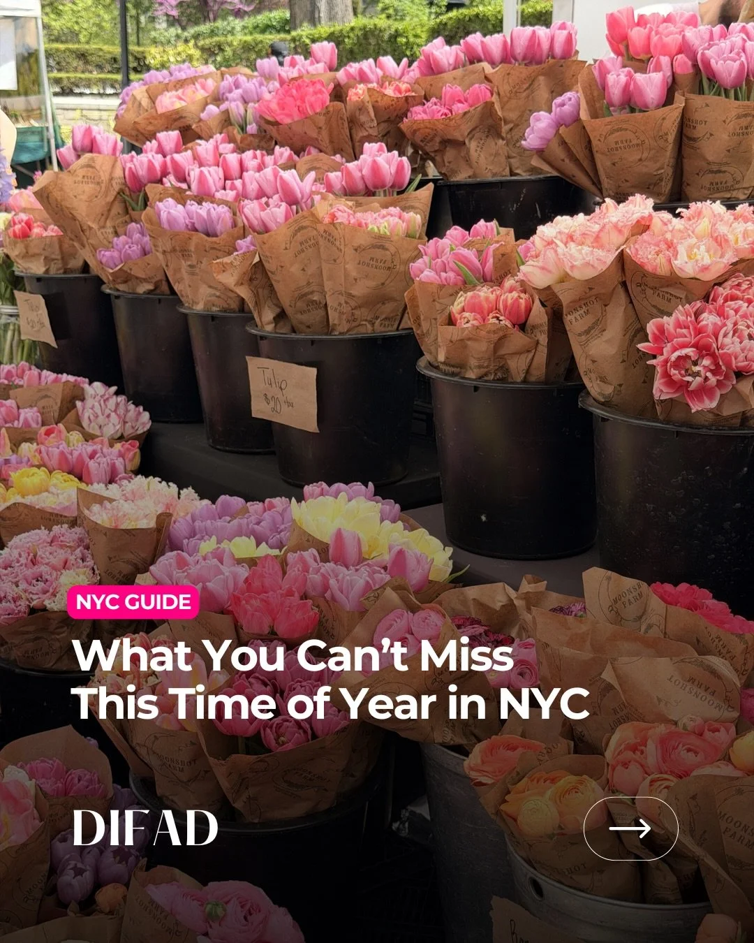 Sunny days in NYC just hit different ☀️🗽

Rooftops with skyline views, iced coffee walks, ferry rides at golden hour, museum nights, and all the little moments that make summer in the city feel so special.

We&rsquo;ve rounded up a few things you ca