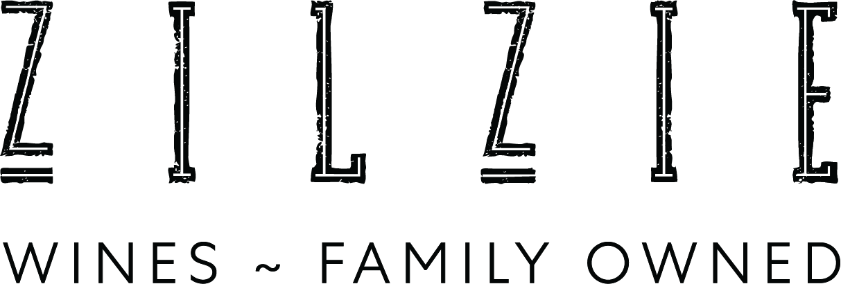 ZilzieLogo_New_926d5d4c-38a6-4d01-912a-f9f8338443df (1).png