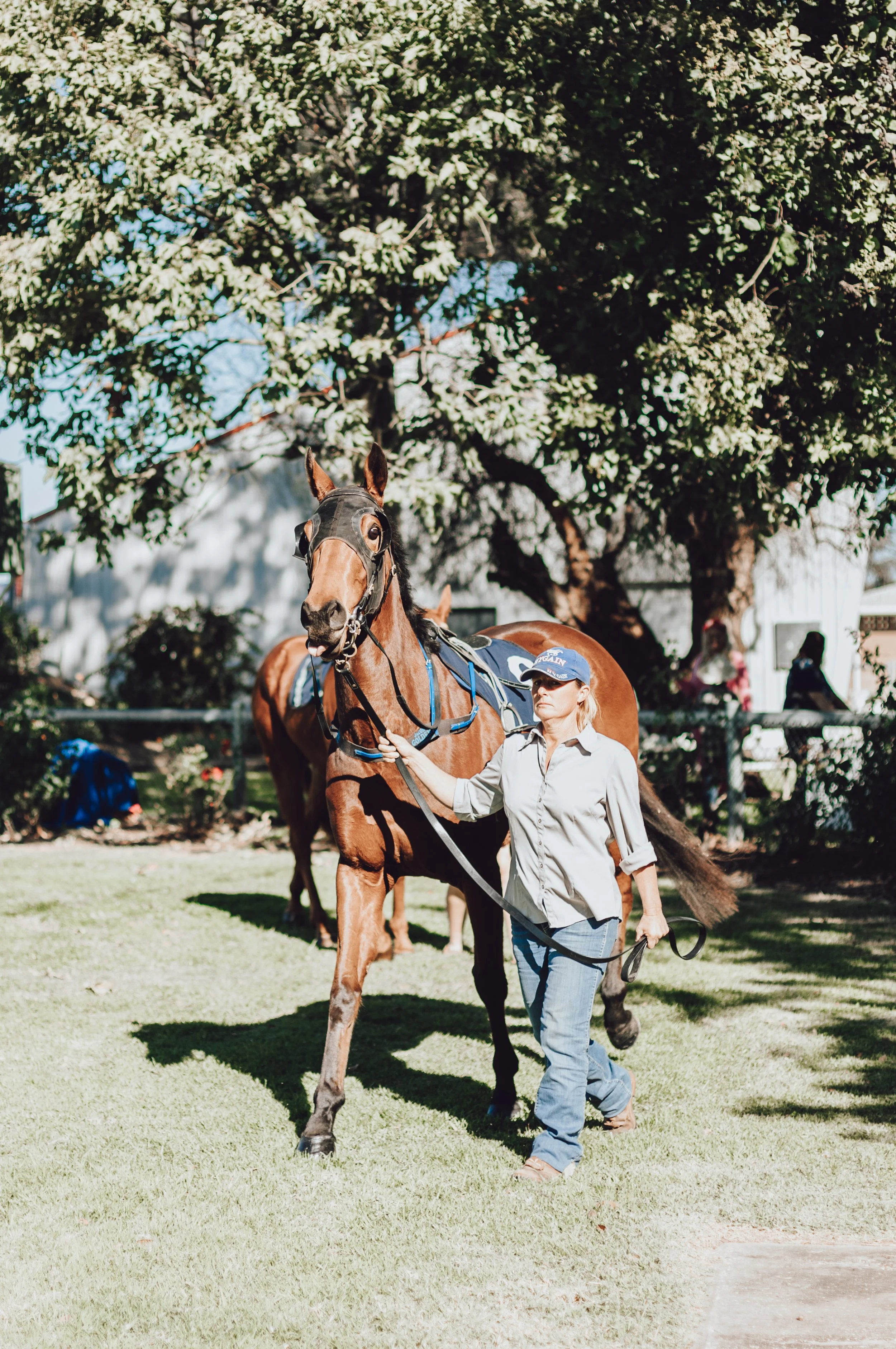 Walgett Races WALGETT RACES | SATURDAY 12TH JUNE, 2027