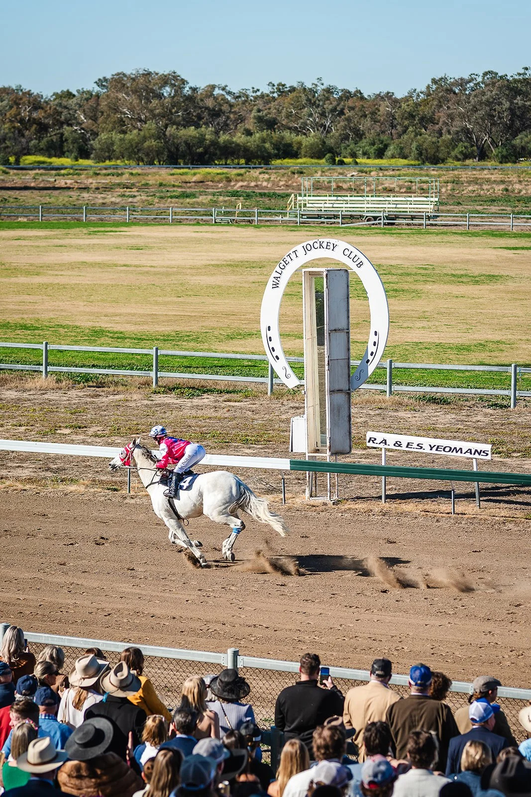 A jockey riding a white horse on the racetrack during a horse race at the Walgett Jockey Club with spectators watching. Come to the Walgett Races.