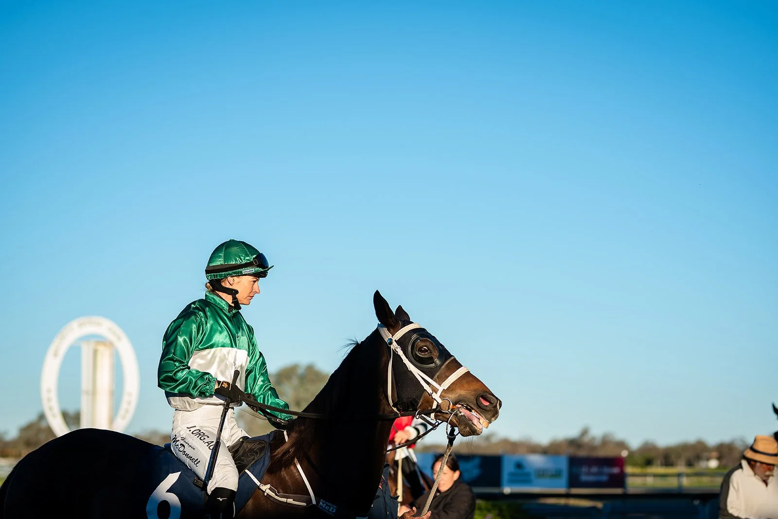 A jockey on a dark horse at a racetrack, with a clear blue sky and some trees in the background.