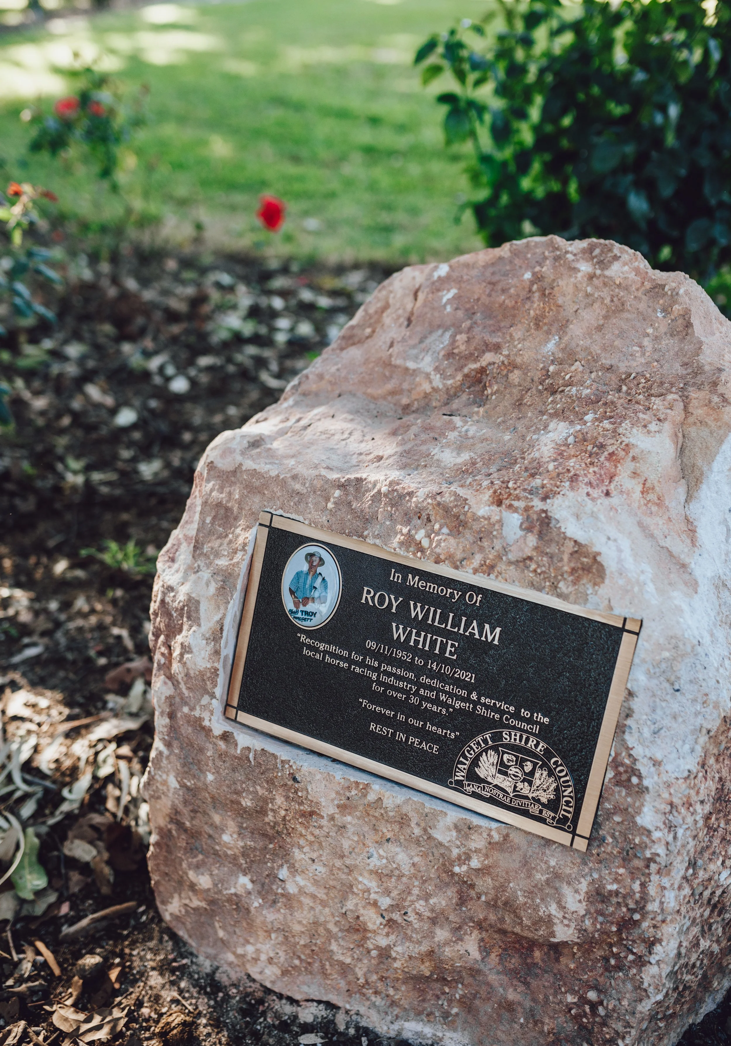 Memorial plaque on a large rock dedicated to Roy William White, located in a garden or park area.