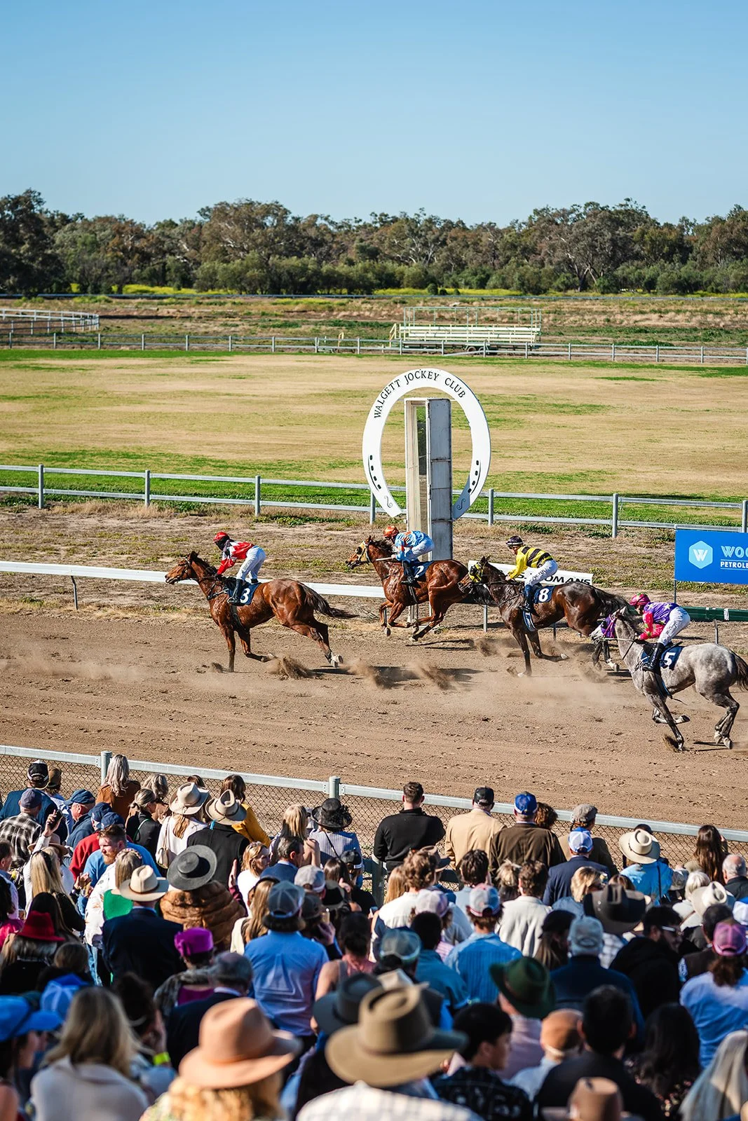 Horse race at Walgett Jockey Club with jockeys and horses in action on a dirt track, spectators watching from the stands, clear sunny weather.