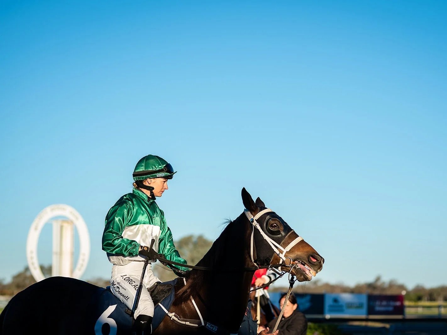 A jockey wearing green and white silks sits on a dark brown horse with a white bridle, at the Walgett Races racetrack under a clear blue sky.