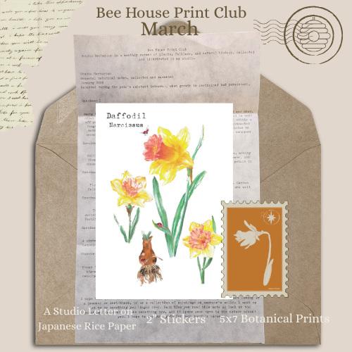 _Bee House Print Club March2026.png