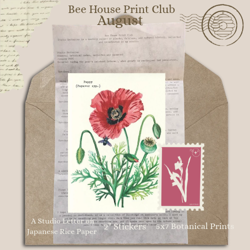 _Bee House Print Club March (2).png