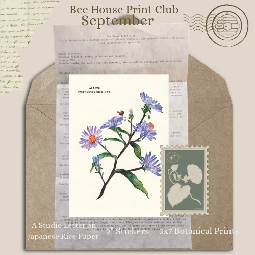 _Bee House Print Club March (1).png