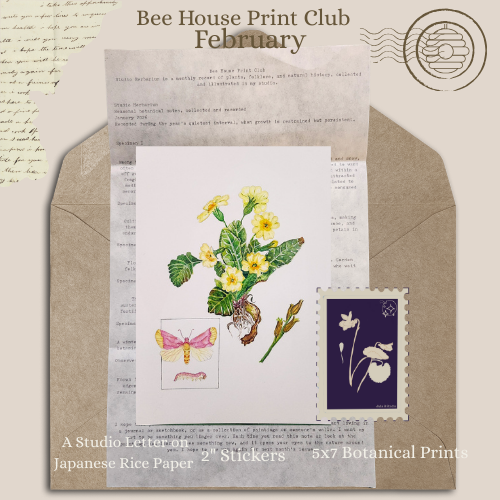 A collection of botanical prints and studio letters on a desk, including a pressed yellow flowering plant, a pink moth illustration, a blue postage stamp with white flower designs, and sheets of Japanese rice paper and studio letter paper.