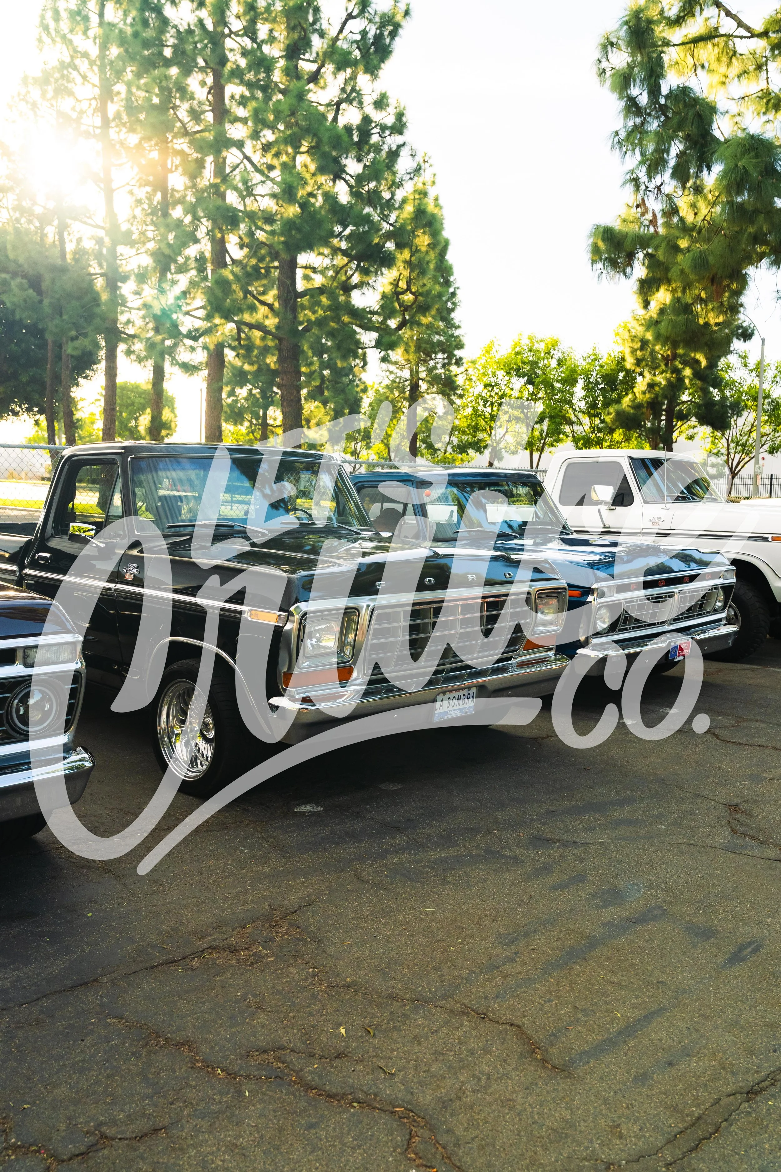 DSC08597.jpg