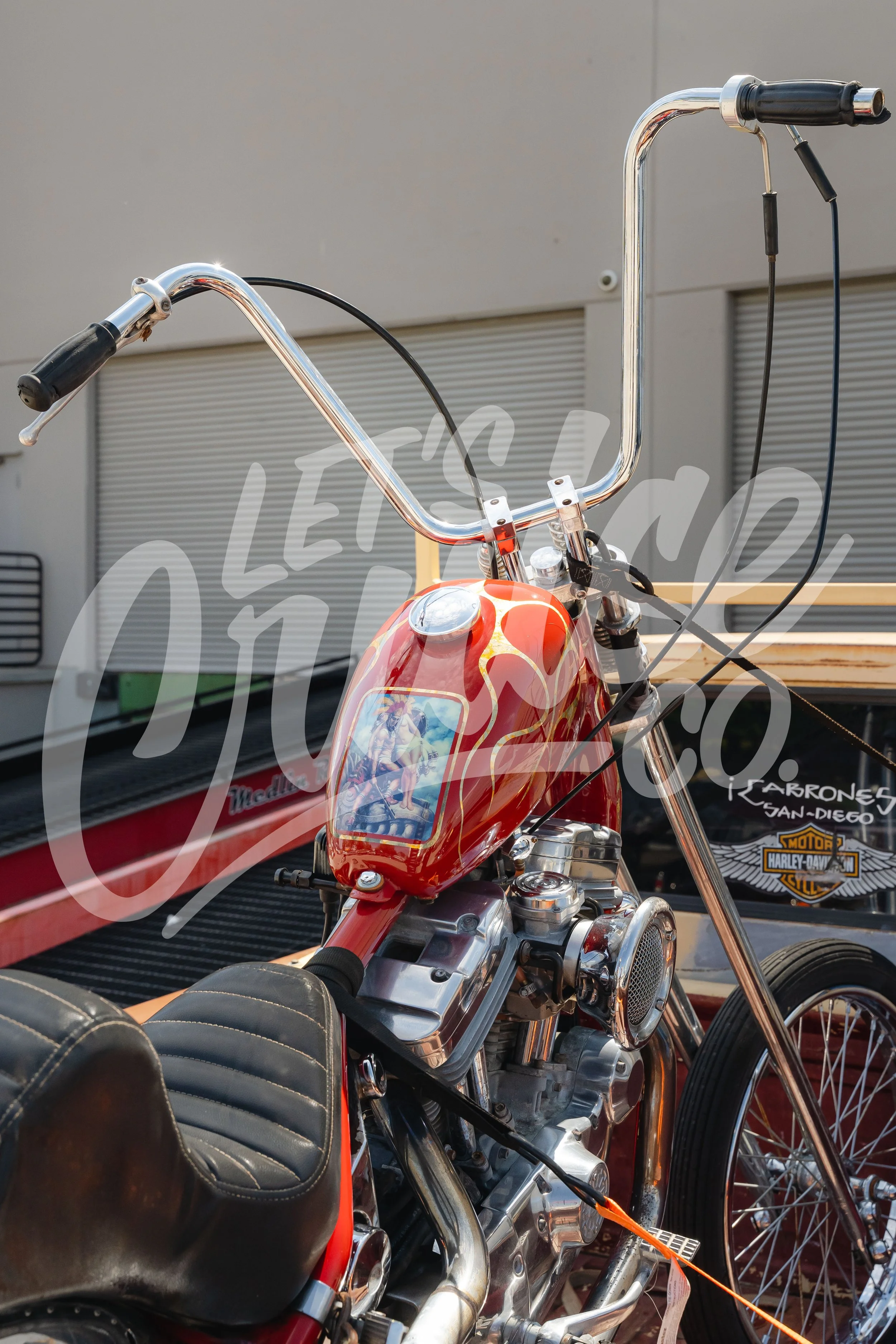 DSC07251.jpg