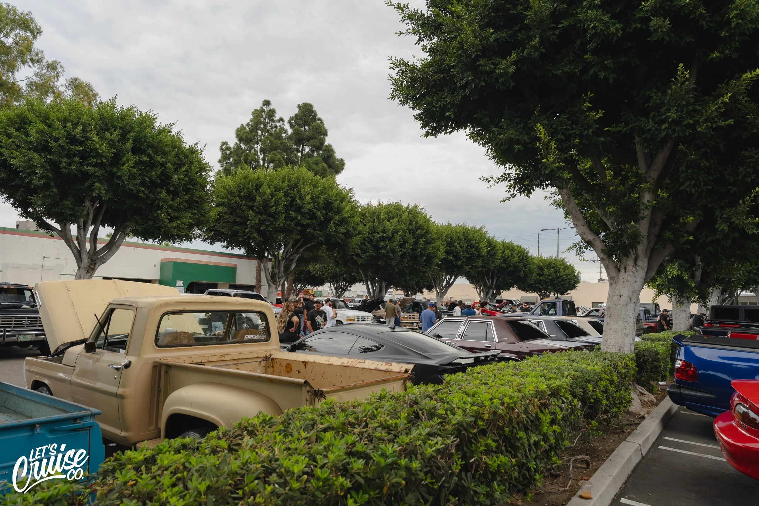 DSC07075.jpg