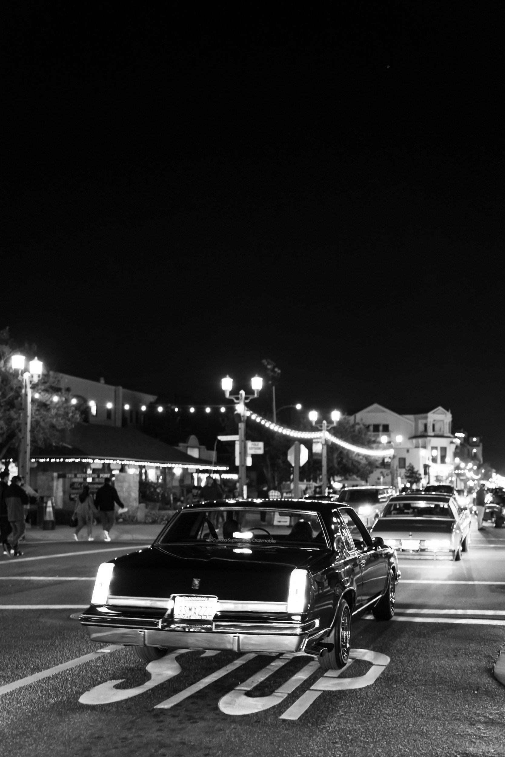 DSC09557-2.jpg