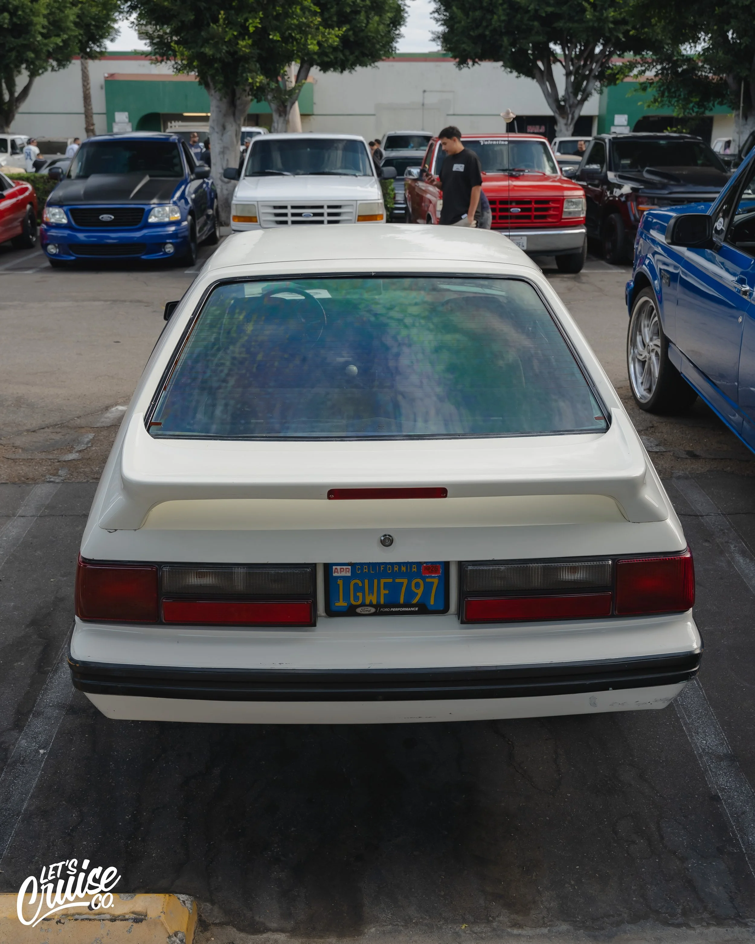 DSC06771.jpg