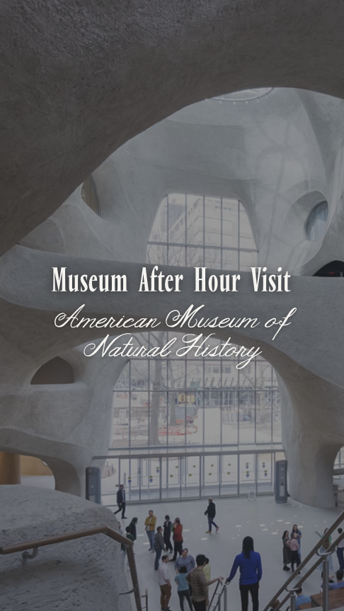 Museum After Hours: AMNH