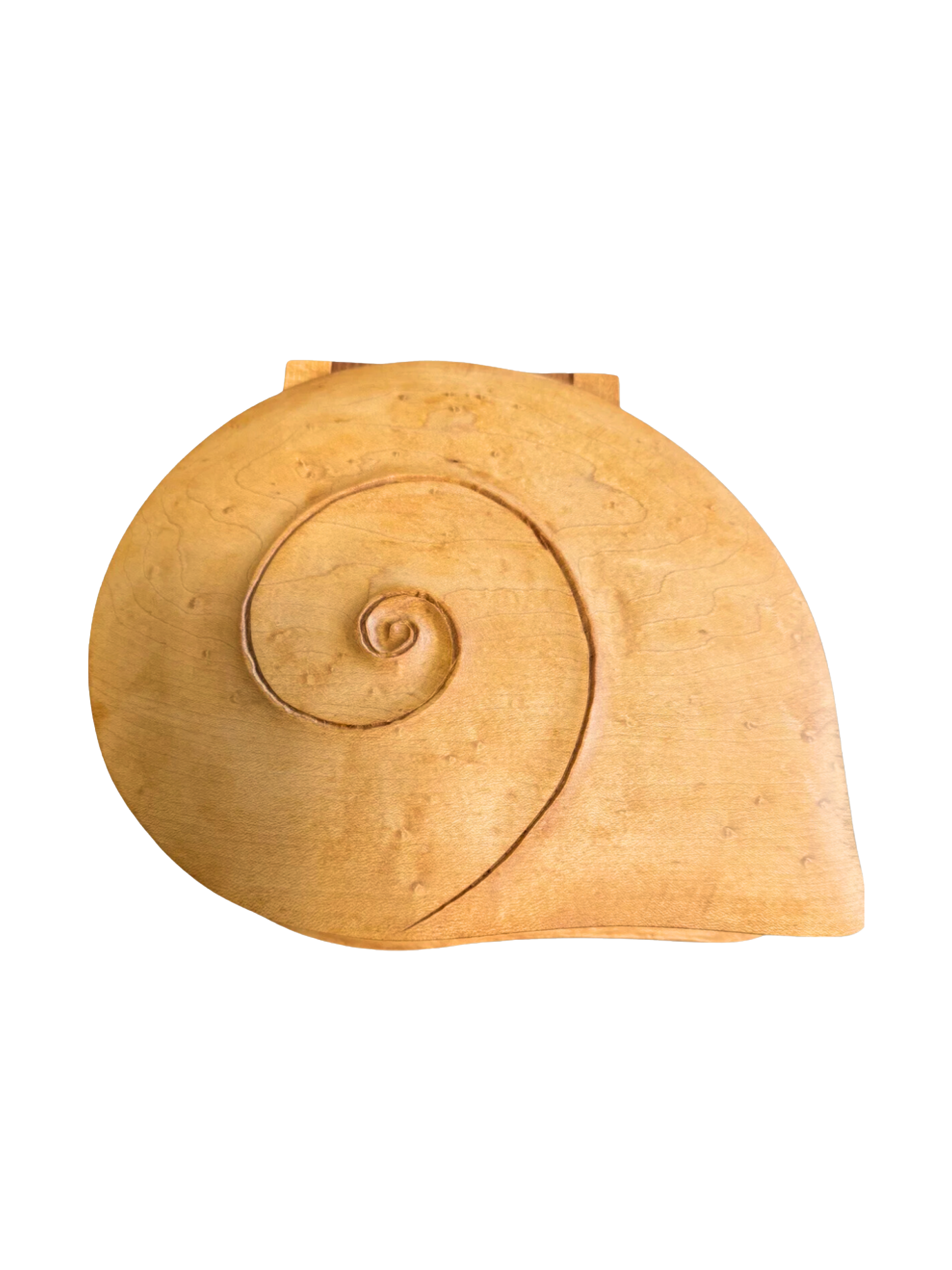 Solid-Carved-Burlwood-Nautilus-Hinged-Box-2001.png