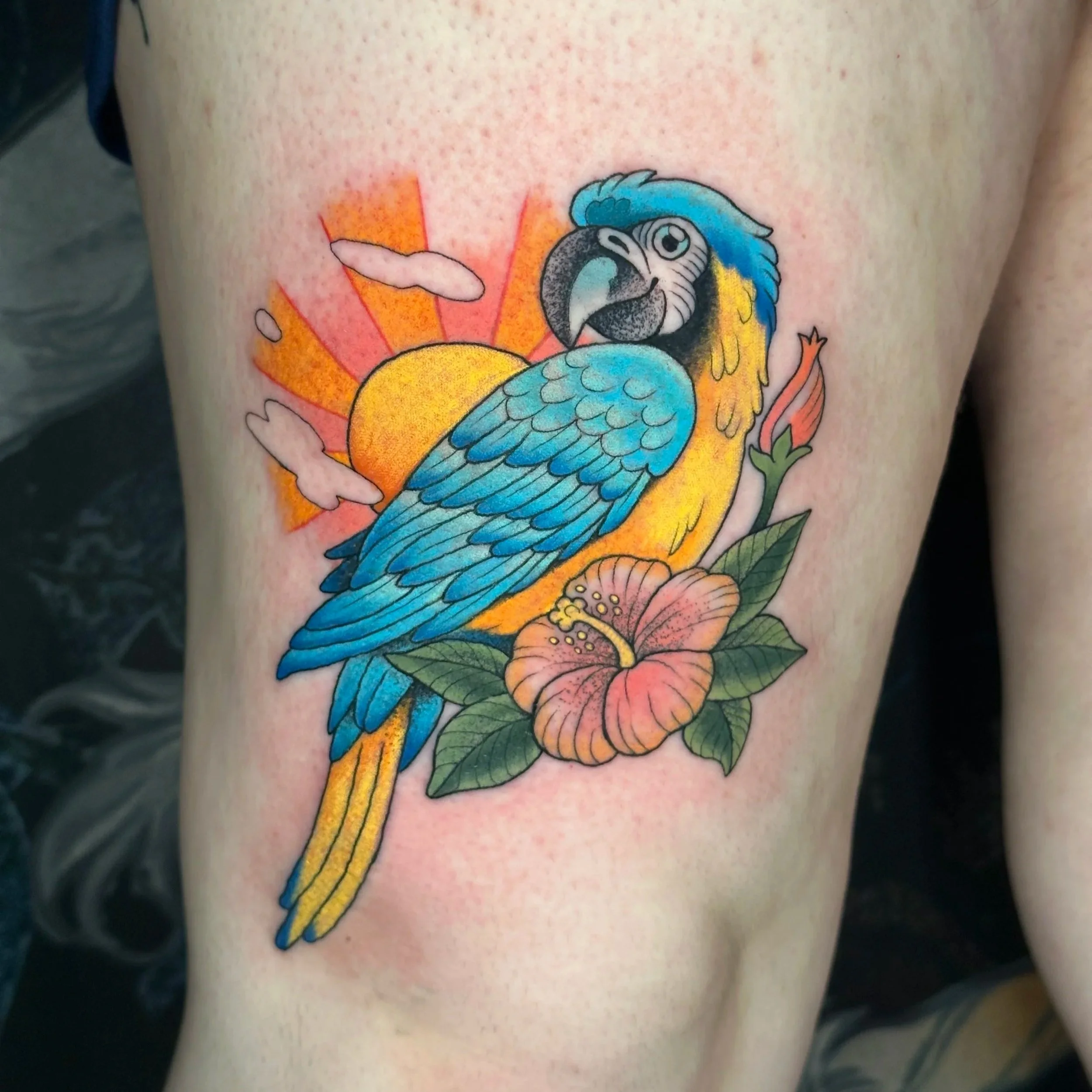 tropical macaw (flash, fresh)