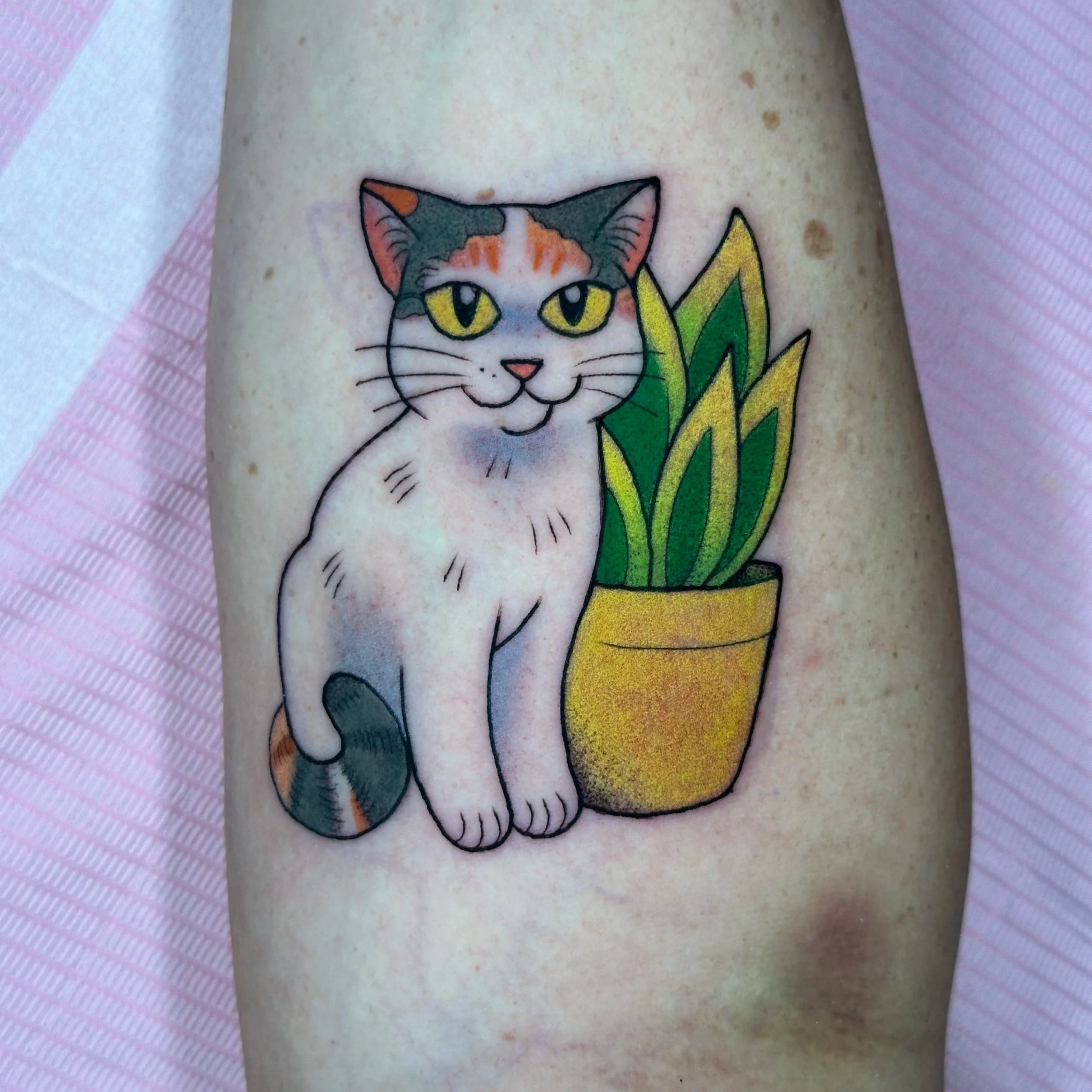 from my francine flash in benefit of SOS cats rva / spca richmond (flash, fresh)