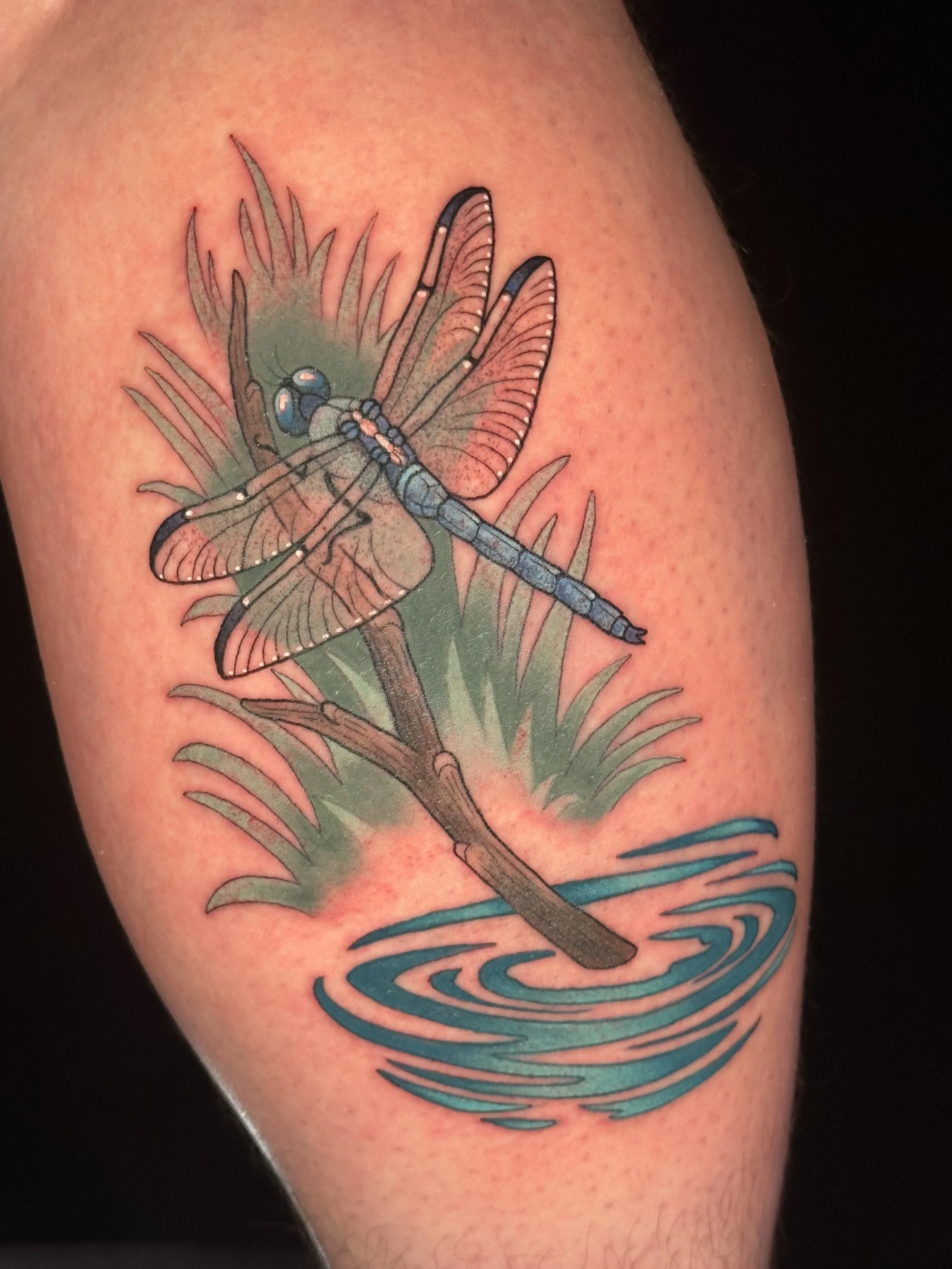 blue garner dragonfly (custom, fresh)