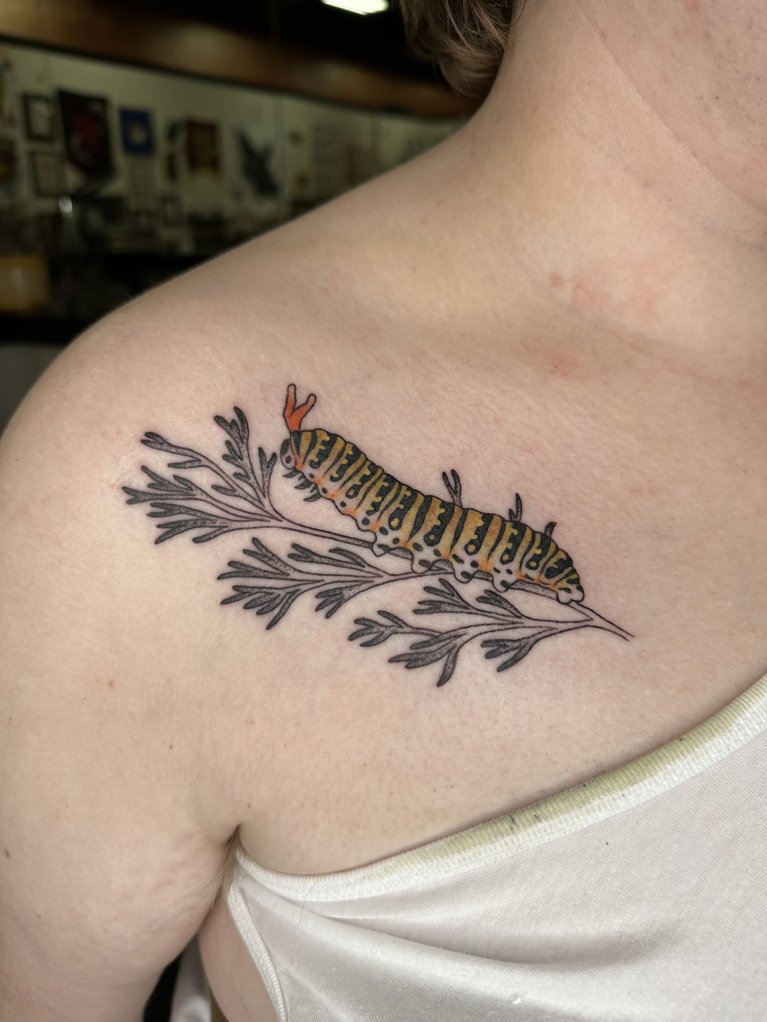 Feather Tattoos Designs Ideas and Meanings  TatRing