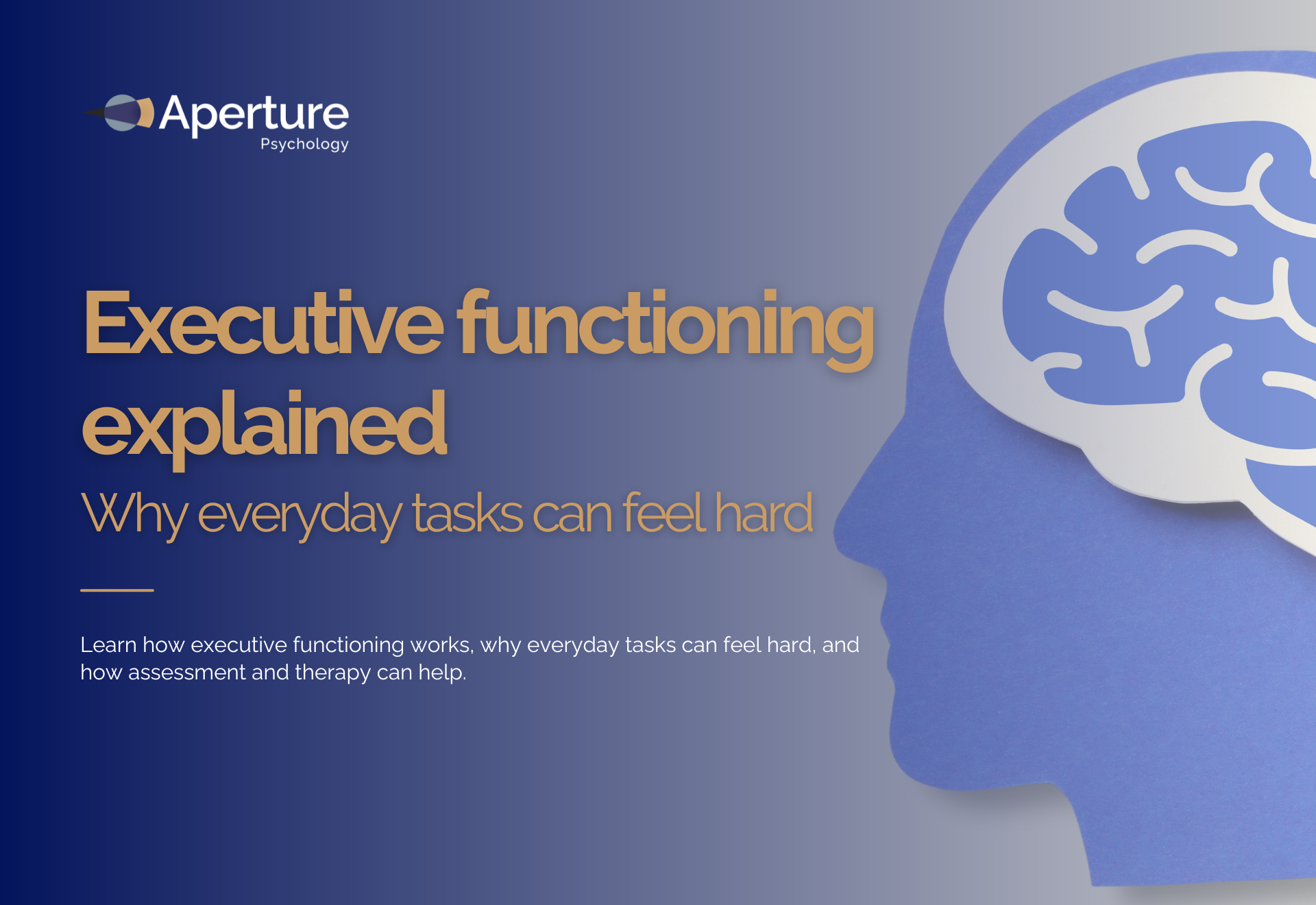 When everyday tasks feel hard: understanding executive functioning