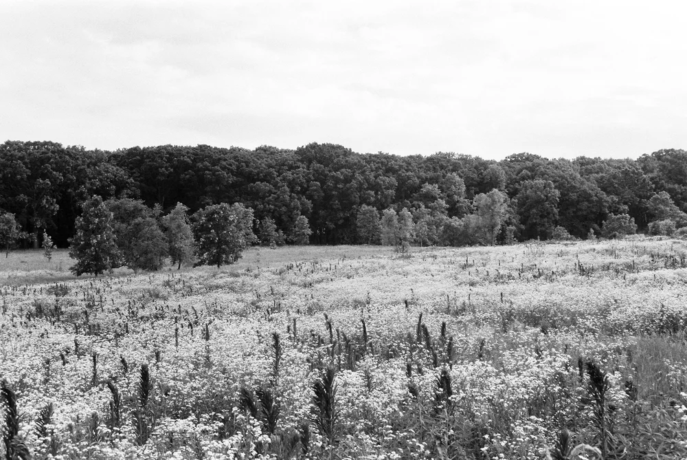 7489209945-R1-034.jpg