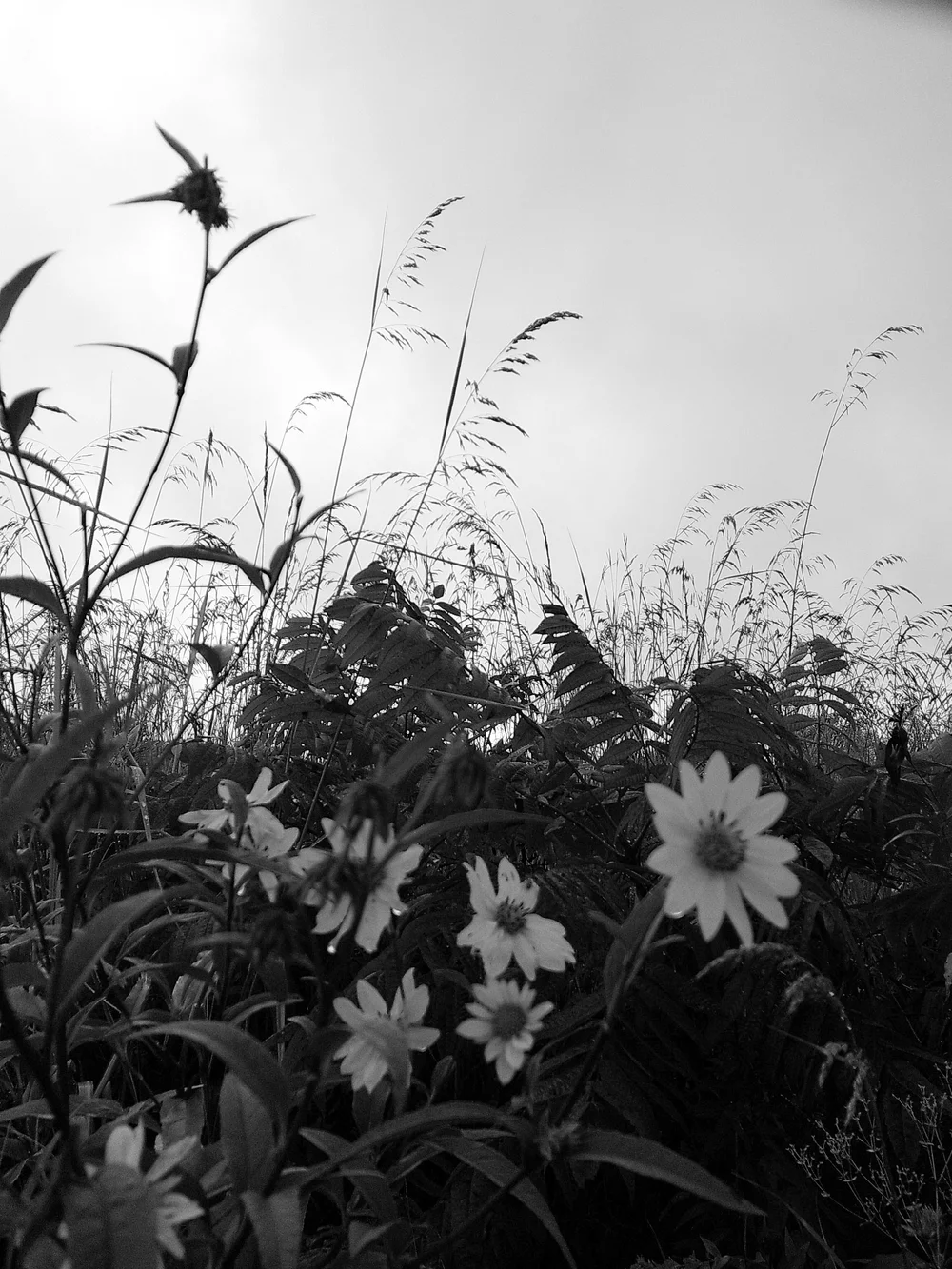 Camp Snap Camera Review-18.jpg