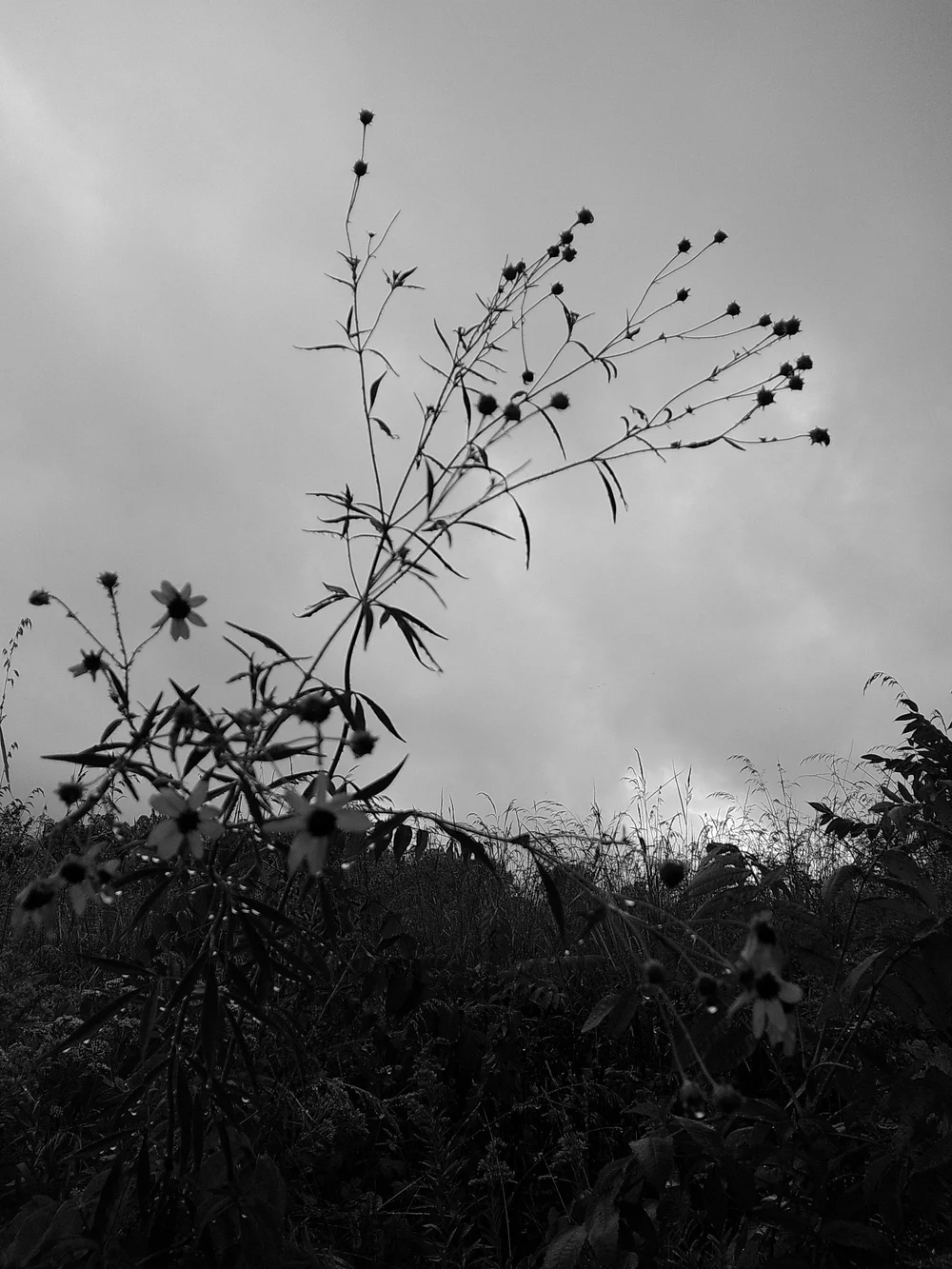 Camp Snap Camera Review-16.jpg