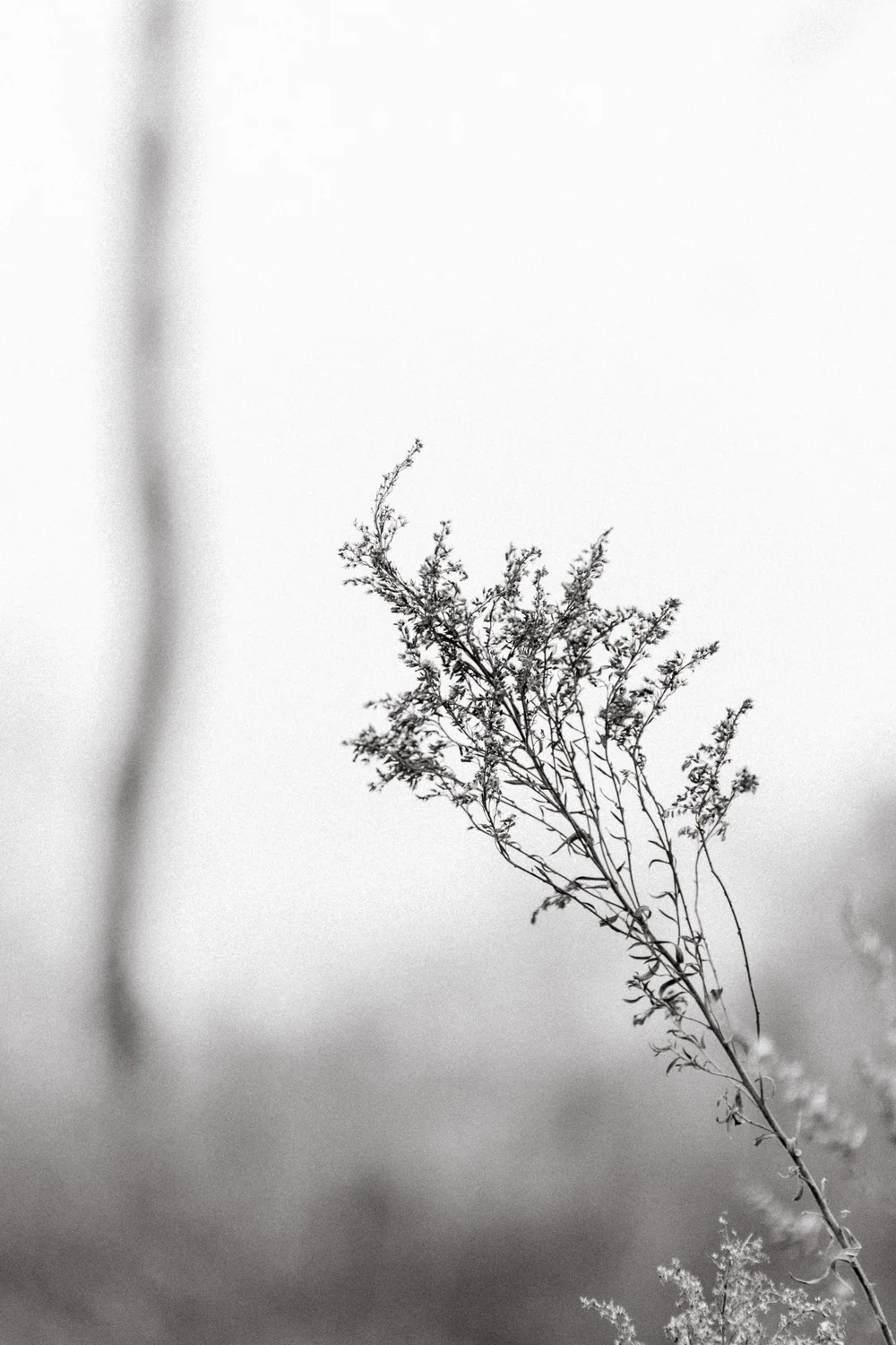 Lauren Lakeberg Nature Photography.jpg