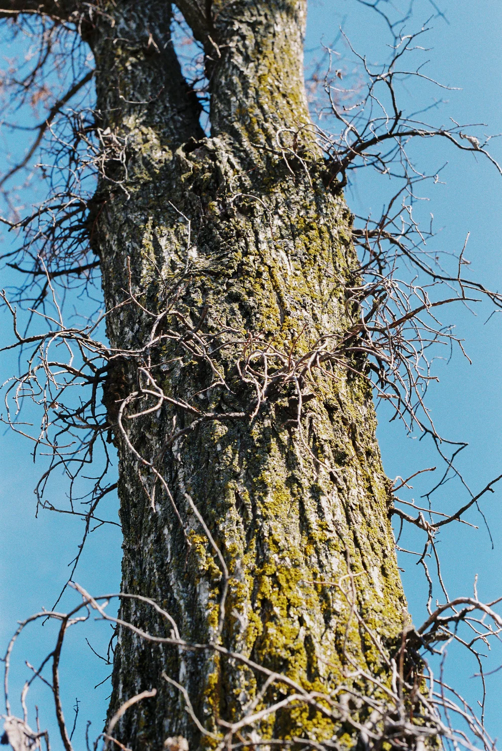 FuijiFilm 35mm 14.jpg