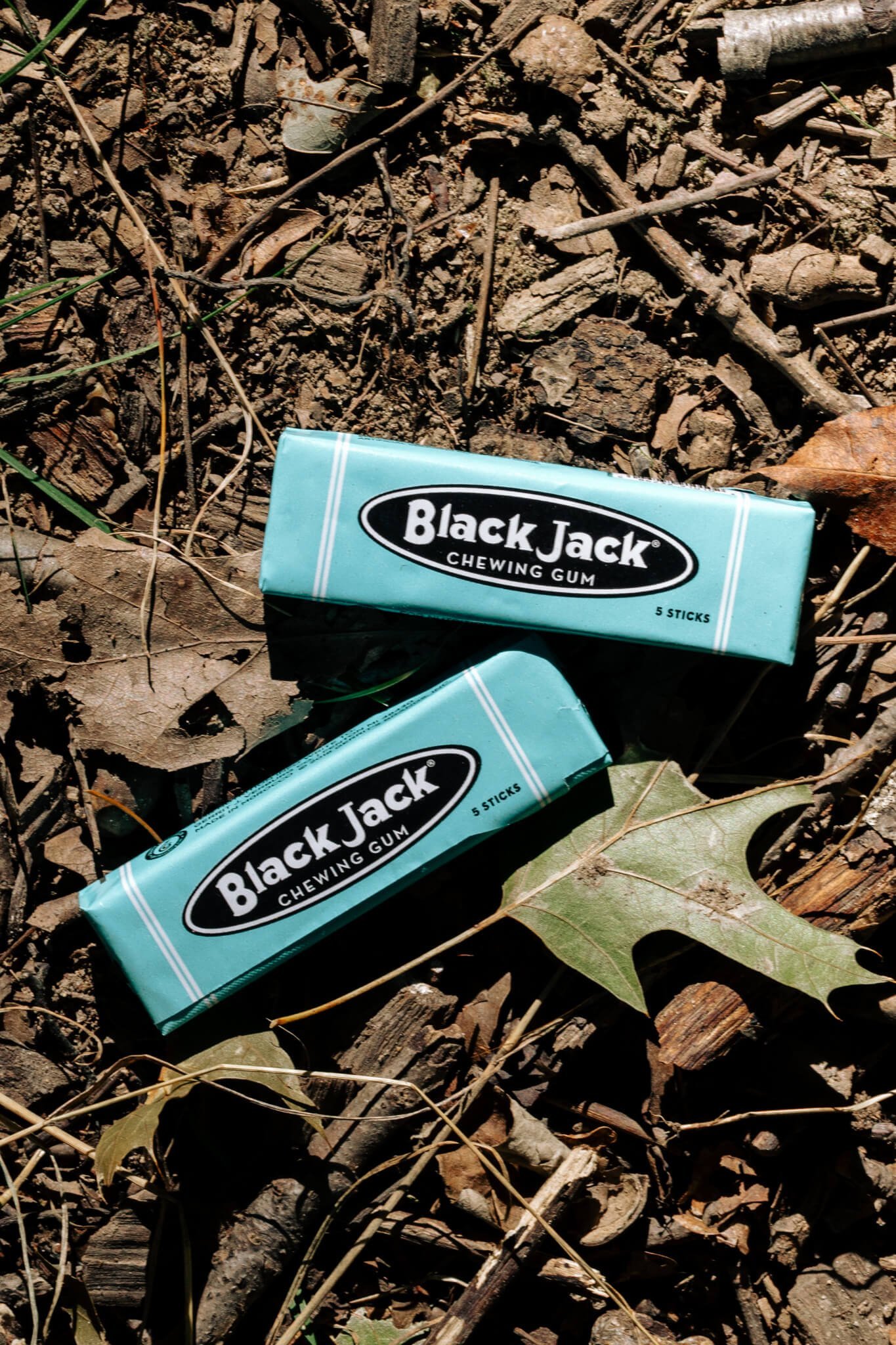 Gerrit J. Verburg and Discraft Great Lakes Open 2025-20.jpg