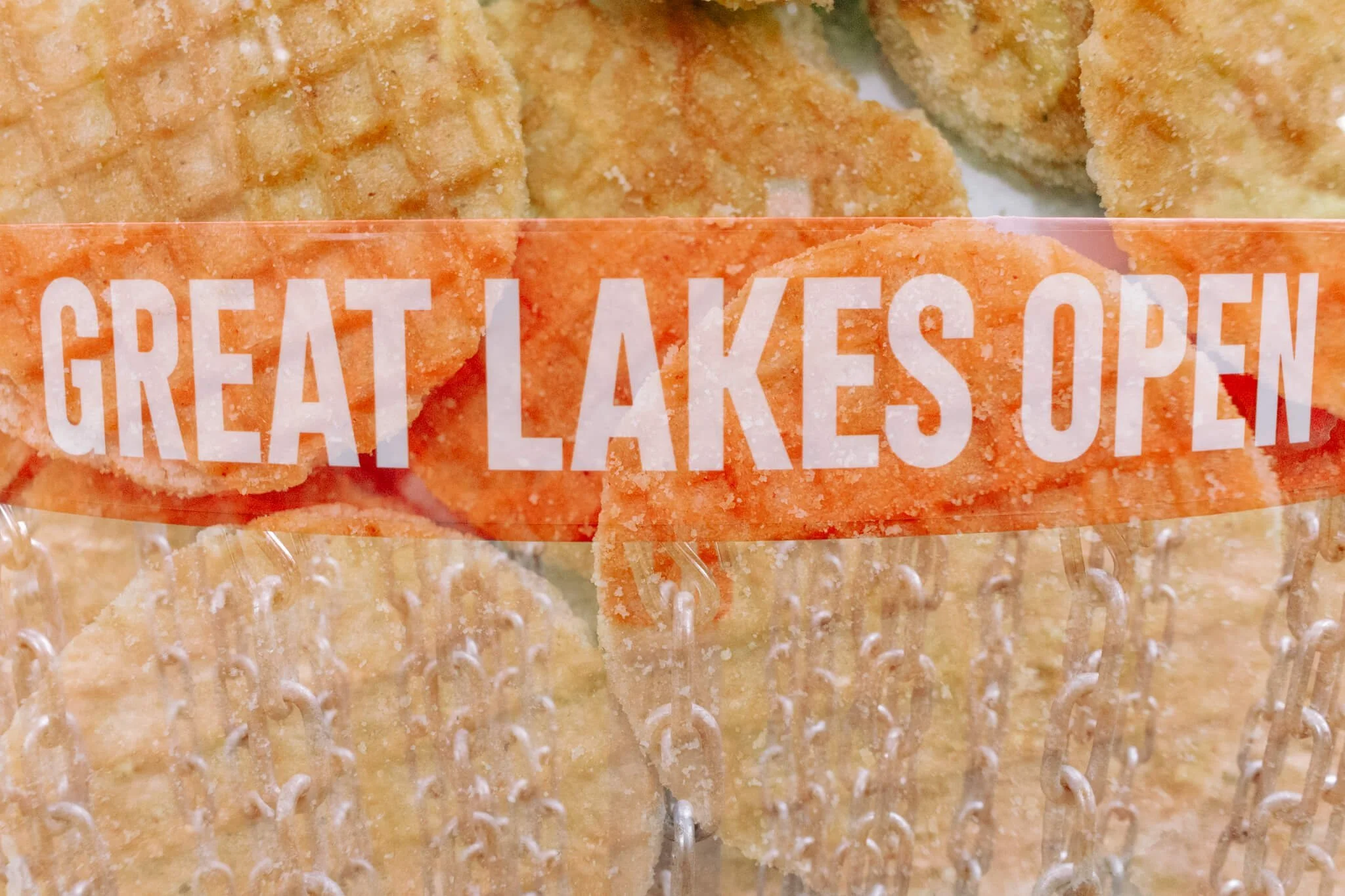 DISCRAFT GREAT LAKES OPEN 2025 PRESENTED BY Gerrit J. Verburg