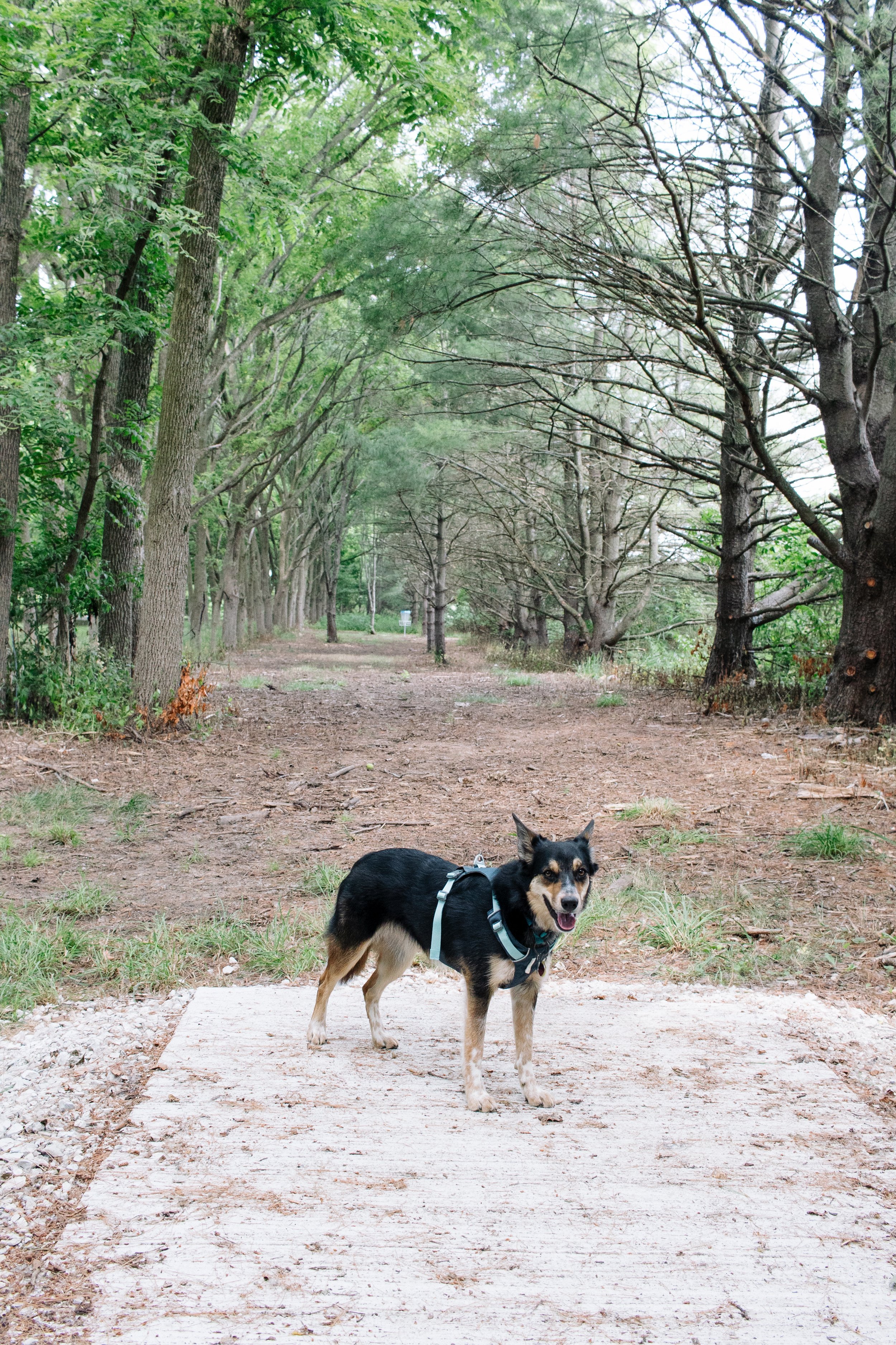 Lake Kakusha Disc Golf Course Mendota-020.jpg