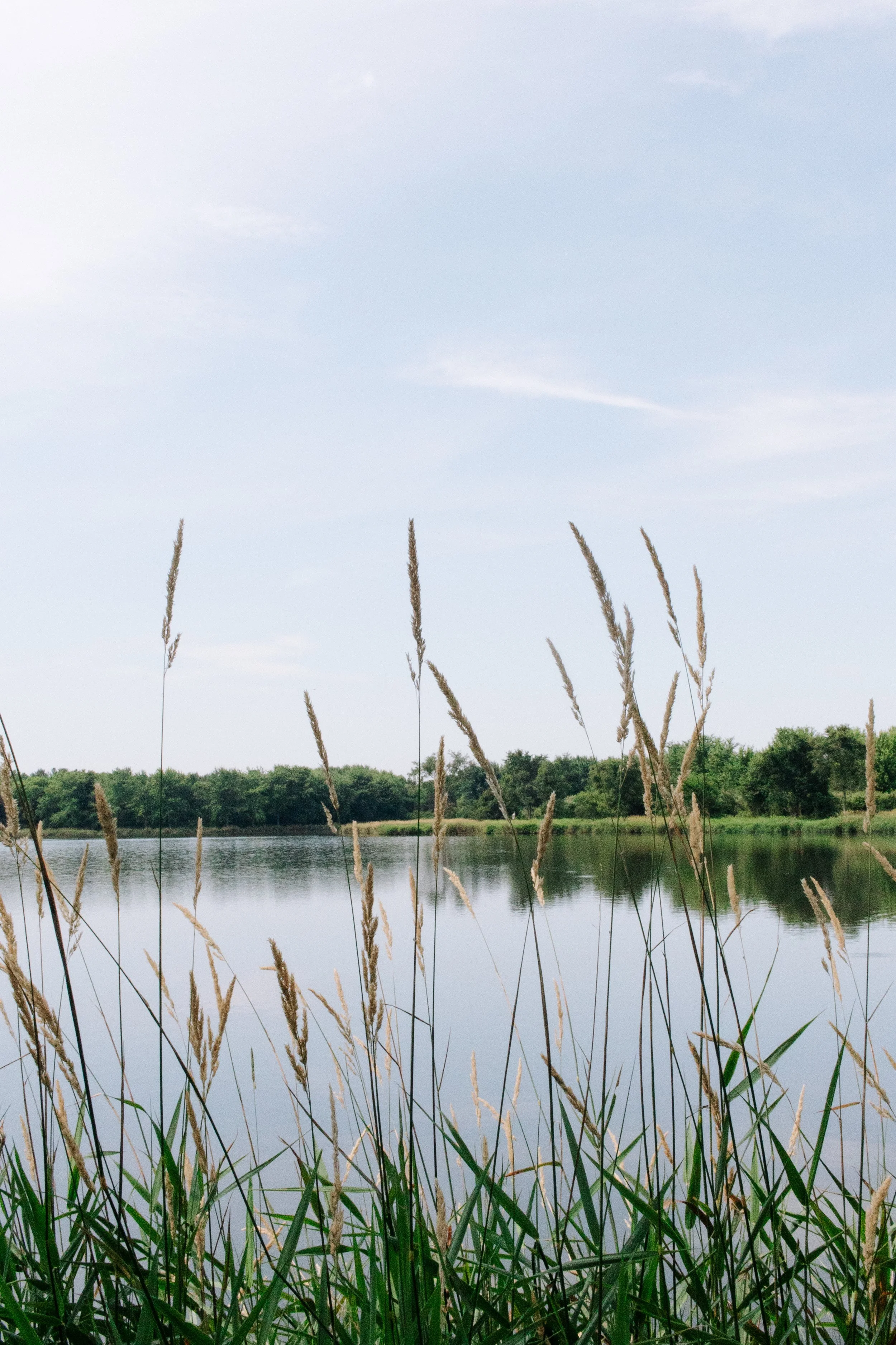 Lake Kakusha Disc Golf Course Mendota-052.jpg