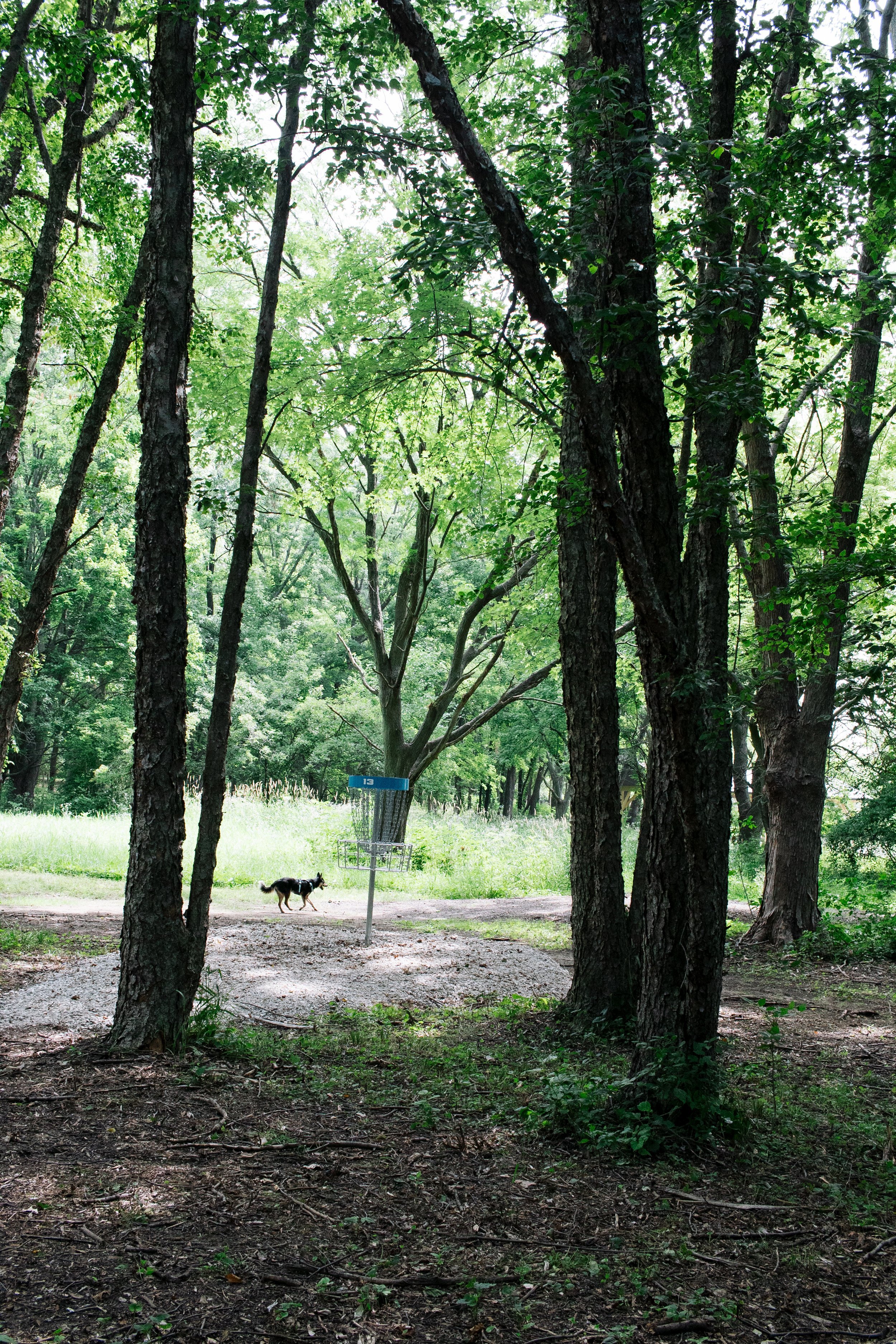 Lake Kakusha Disc Golf Course Mendota-061.jpg