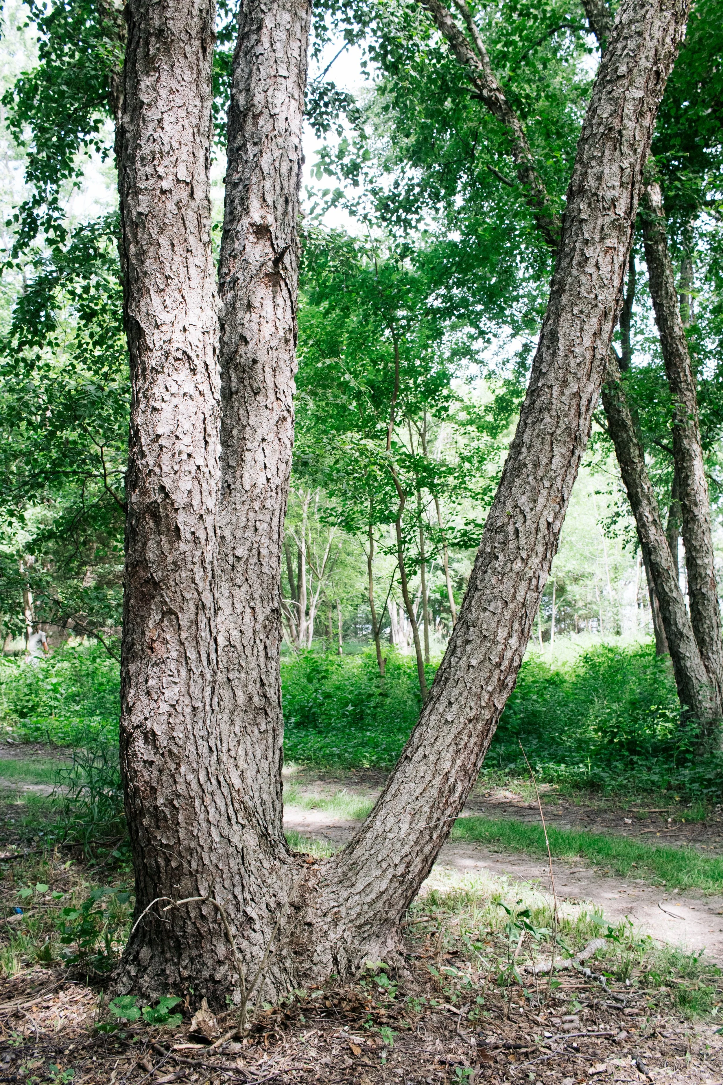 Lake Kakusha Disc Golf Course Mendota-063.jpg