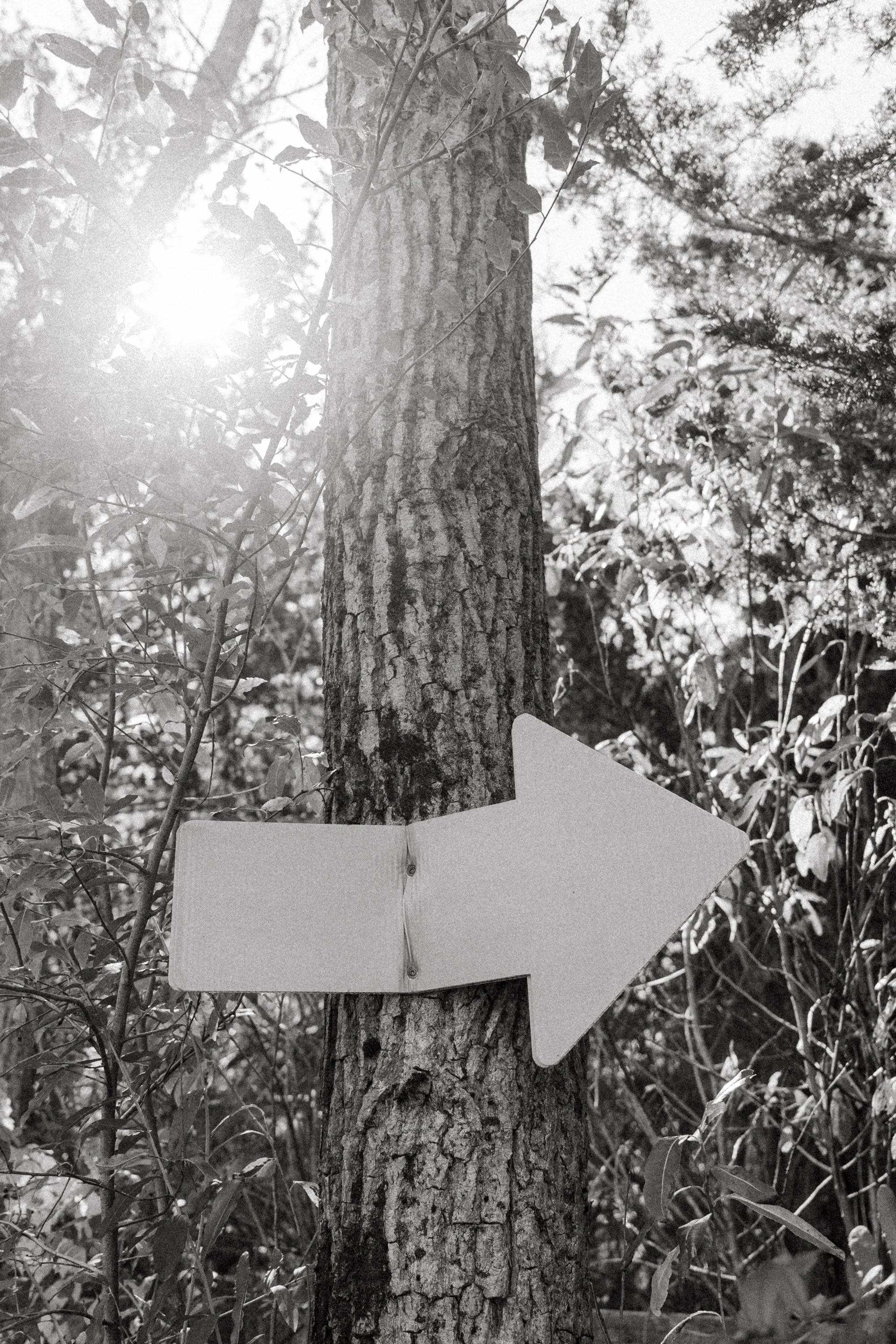 SHARA Disc Golf Course South Haven Michigan-13.jpg