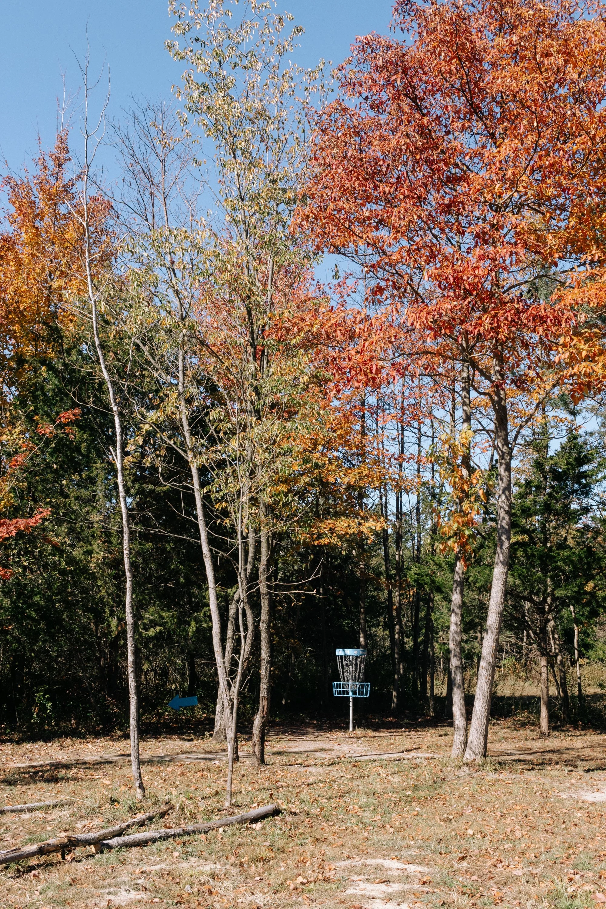 SHARA Disc Golf Course South Haven Michigan-33.jpg