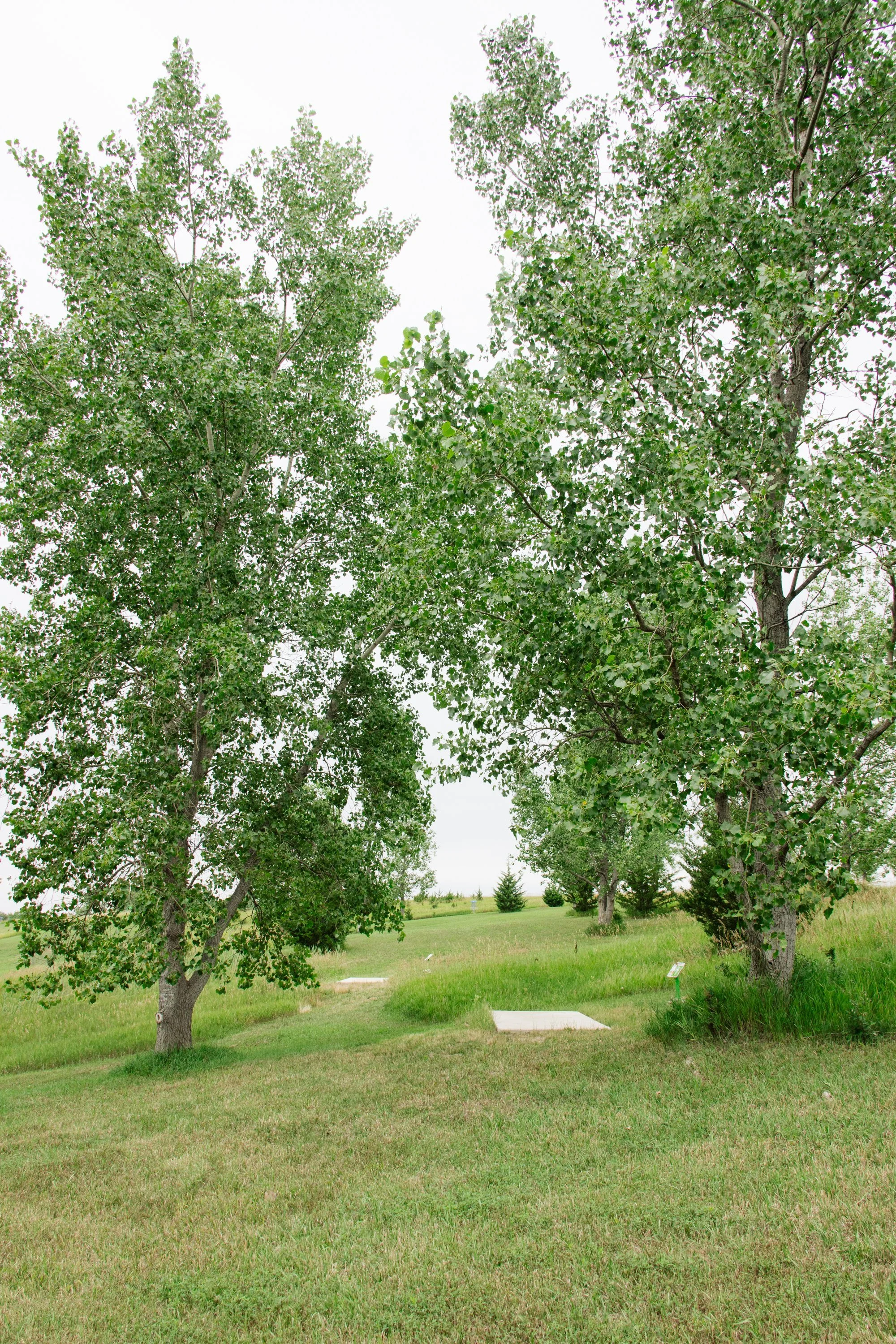 The Quarry Rotary Park LaSalle IL-37.jpg