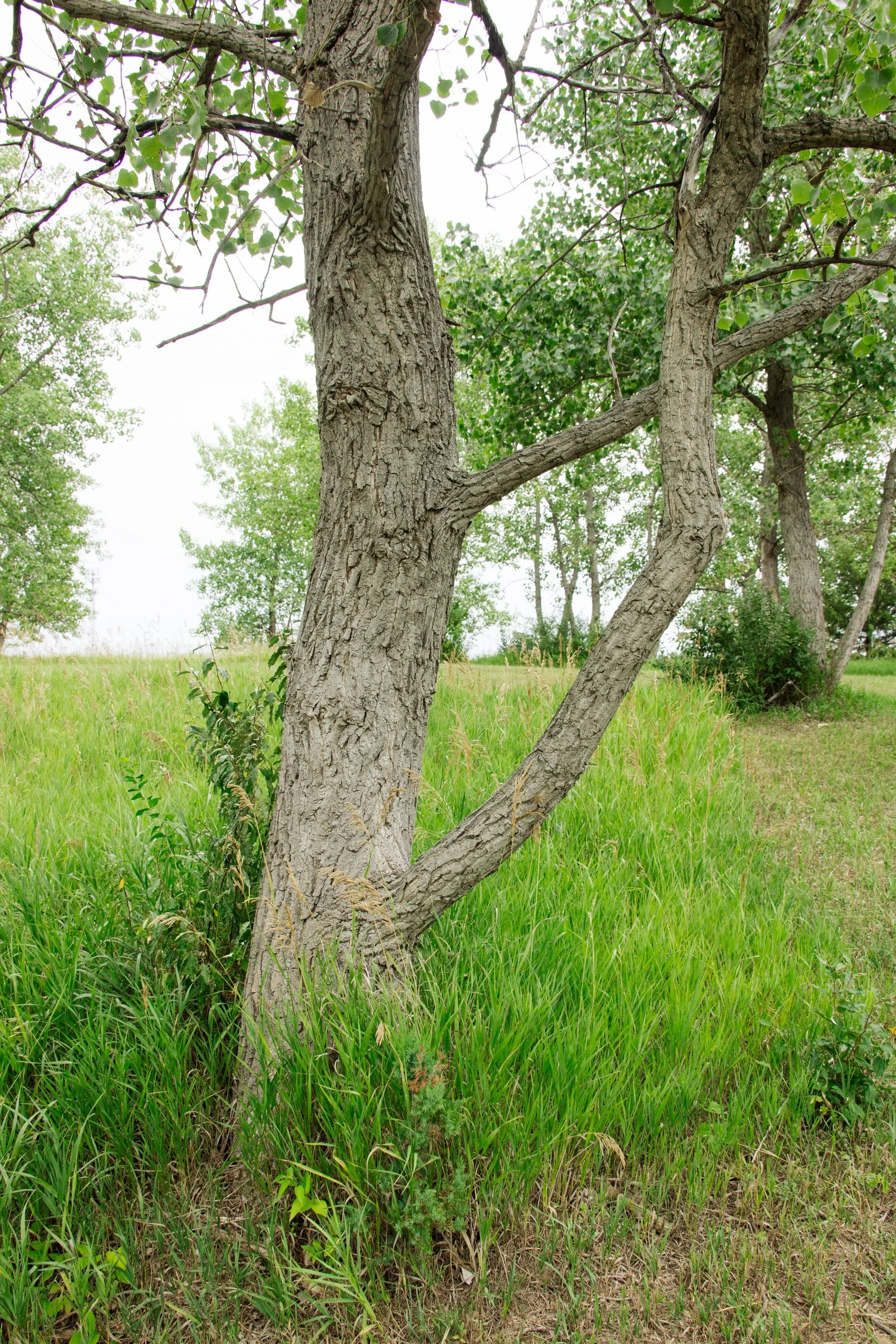 The Quarry Rotary Park LaSalle IL-39.jpg