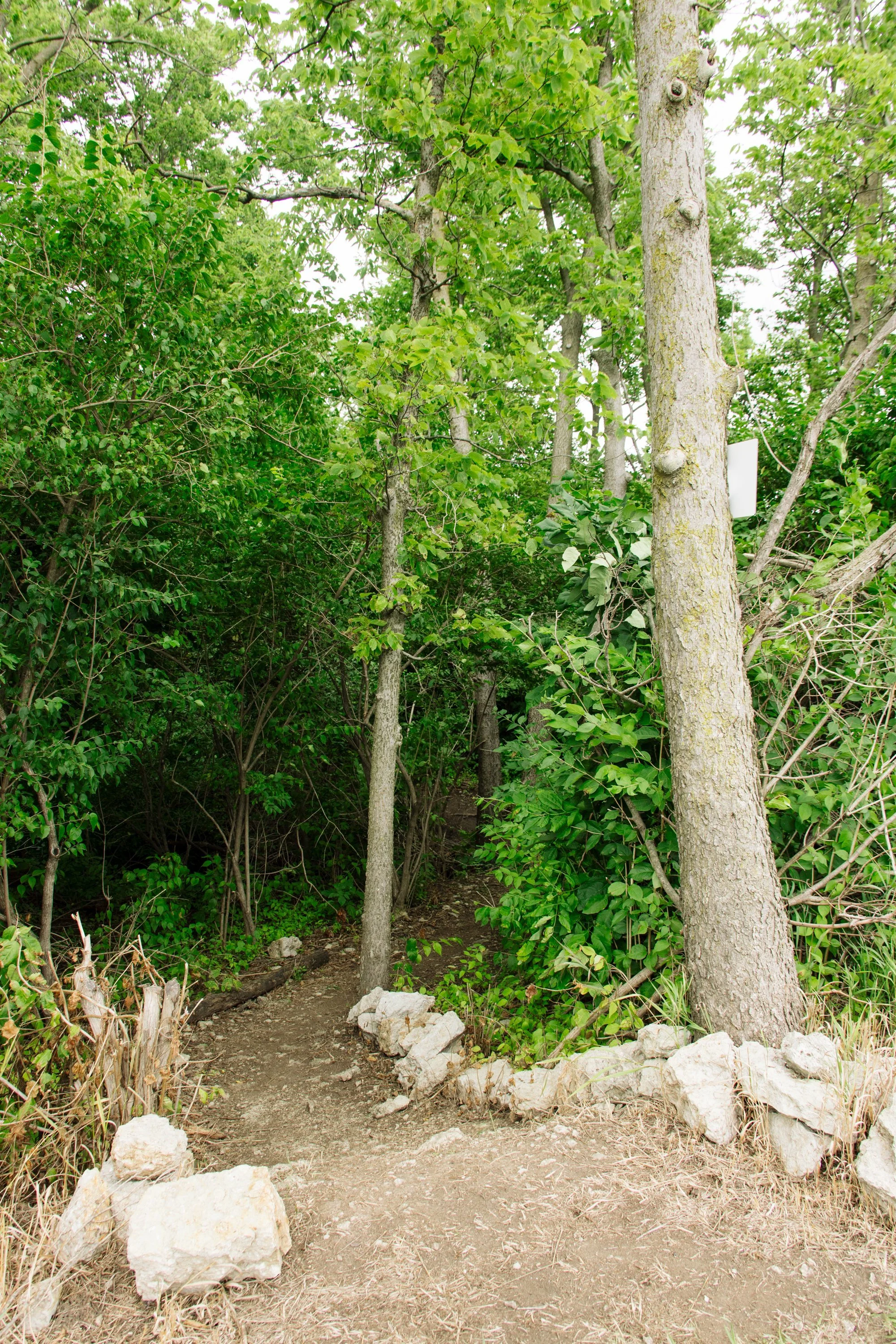 The Quarry Rotary Park LaSalle IL-83.jpg