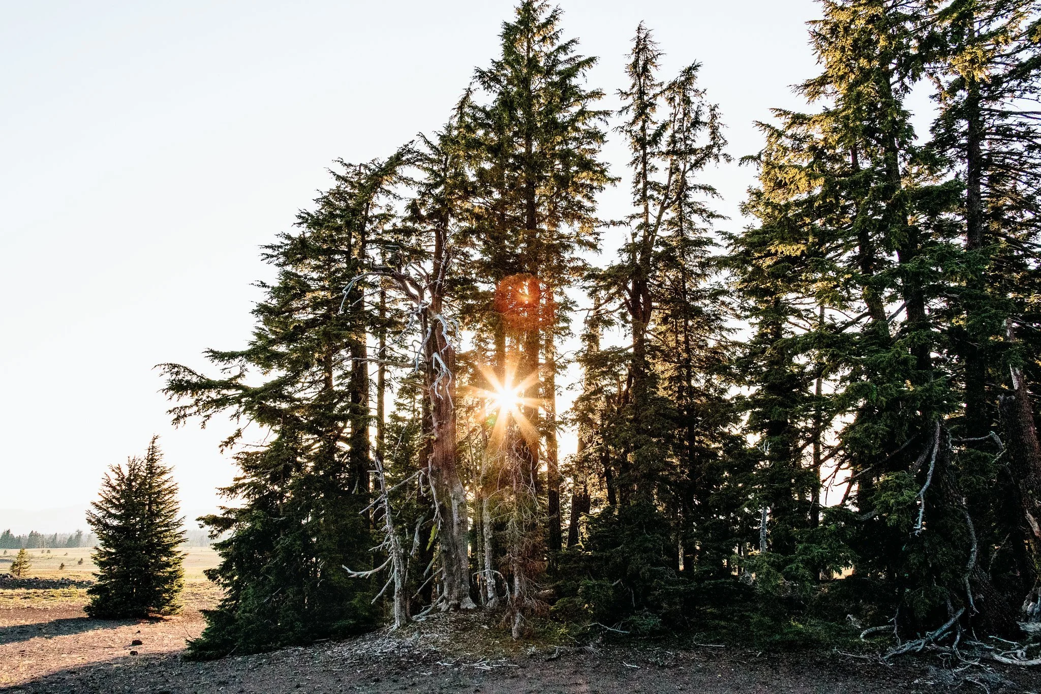 HOW TO PHOTOGRAPH A SUNBURST IN 3 EASY STEPS