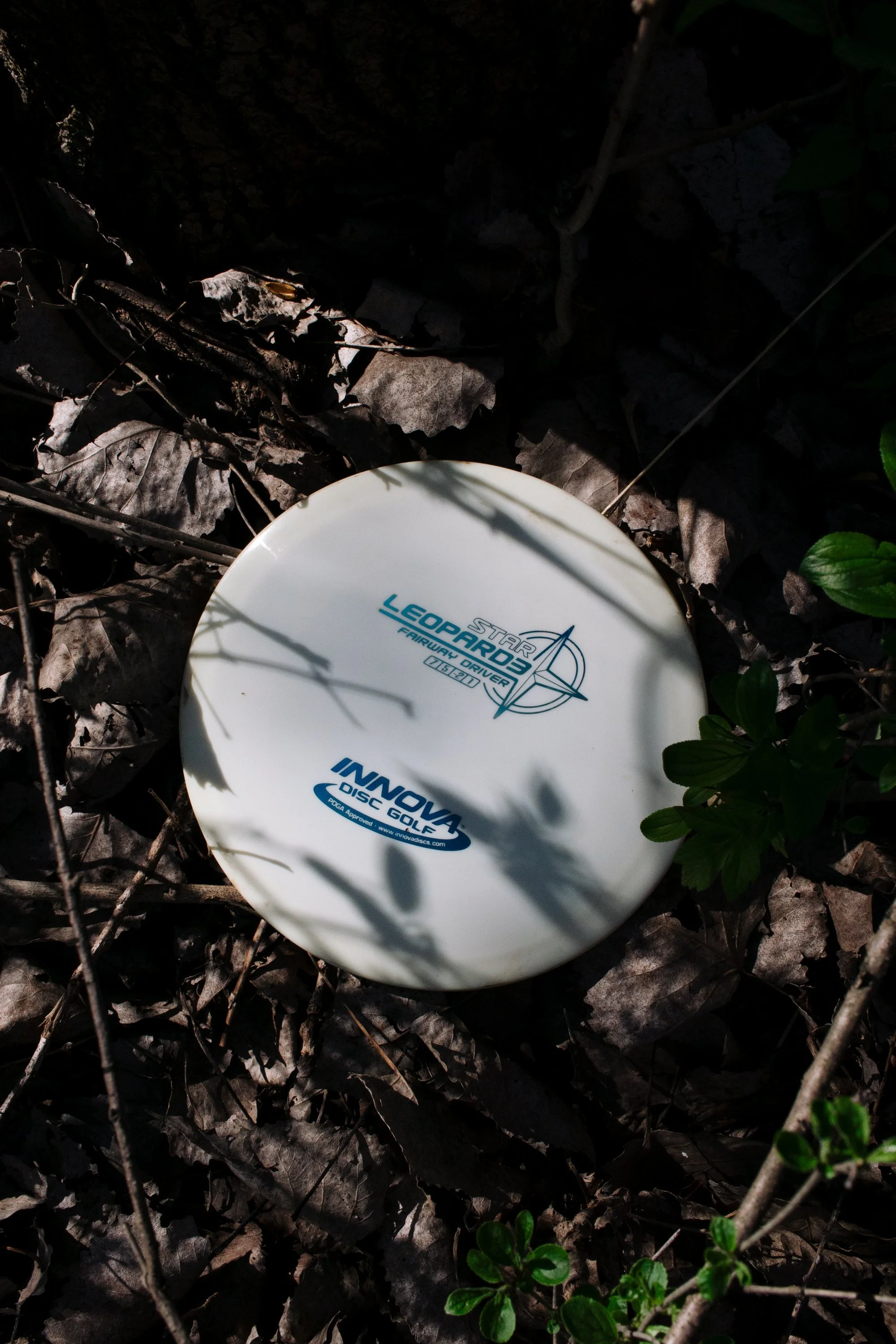 Frank Grimes Disc Golf Course Channahon Illinois-5.jpg