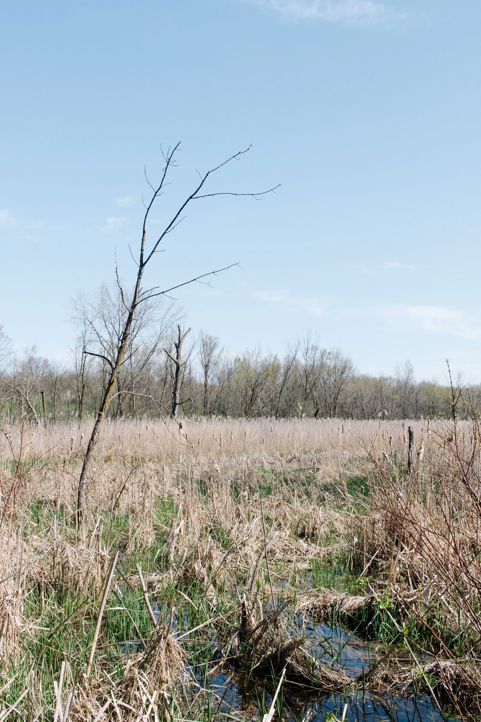 Frank Grimes Disc Golf Course Channahon Illinois-43.jpg