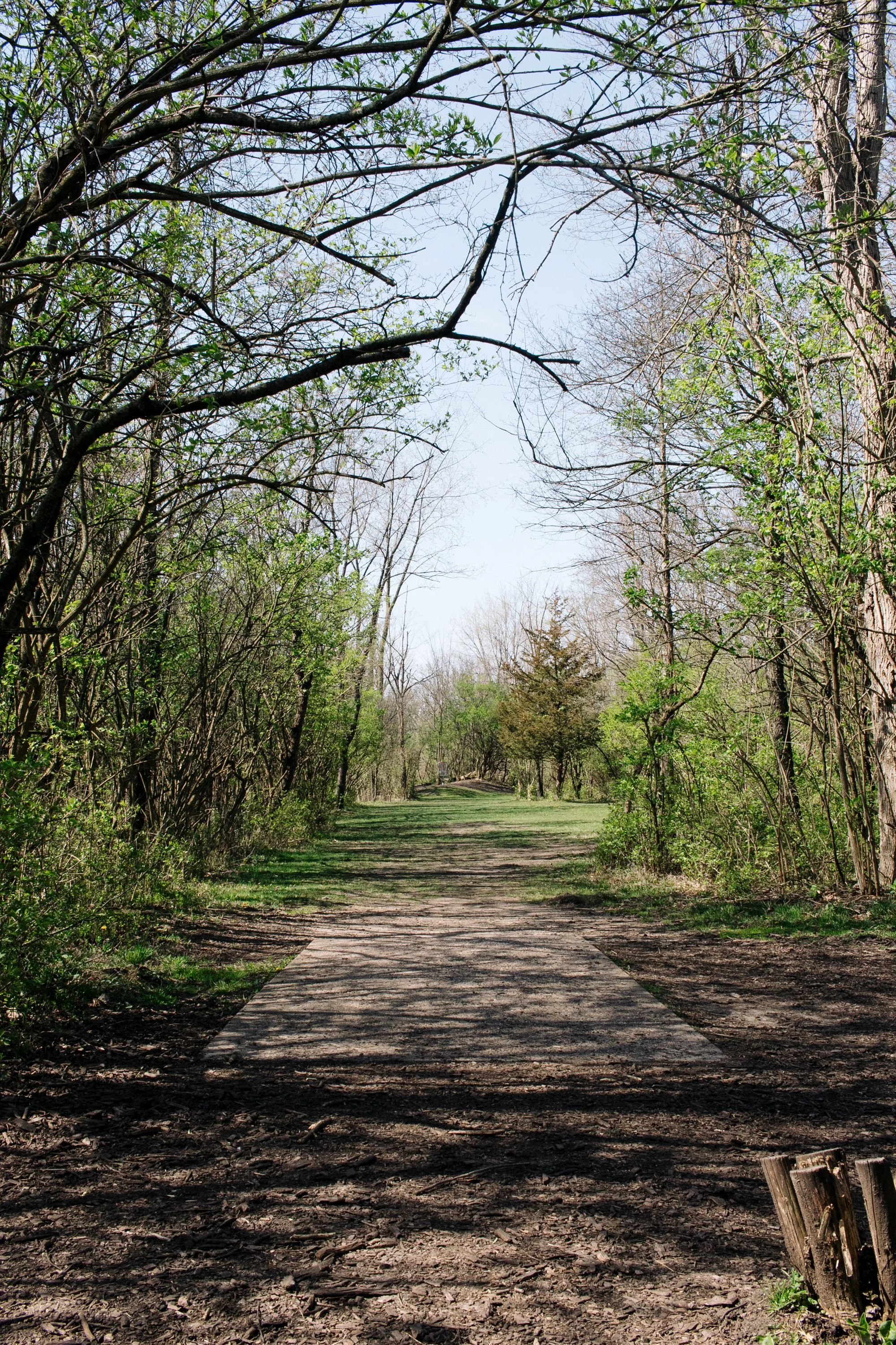 Frank Grimes Disc Golf Course Channahon Illinois-59.jpg