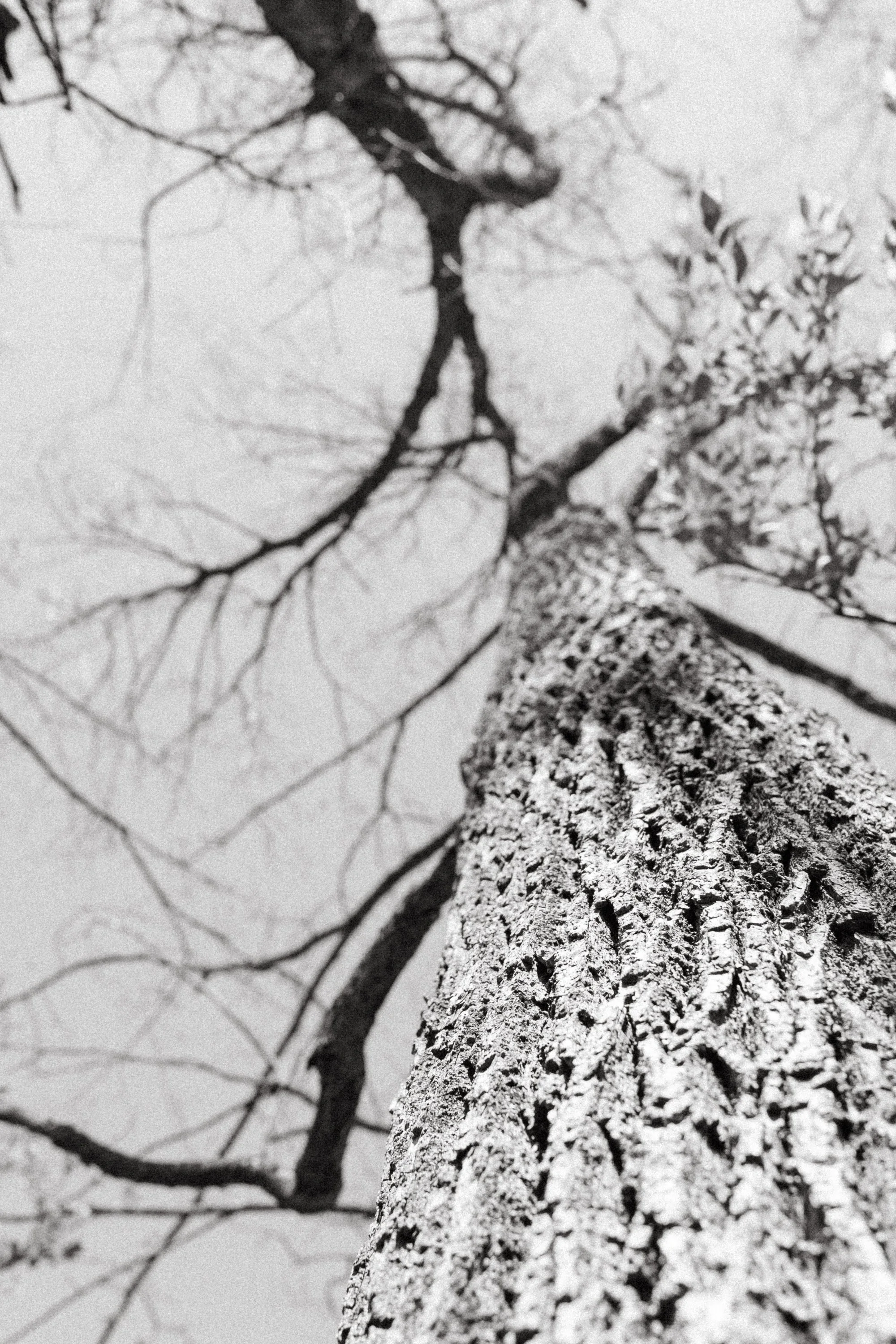 Frank Grimes Disc Golf Course Channahon Illinois-68.jpg