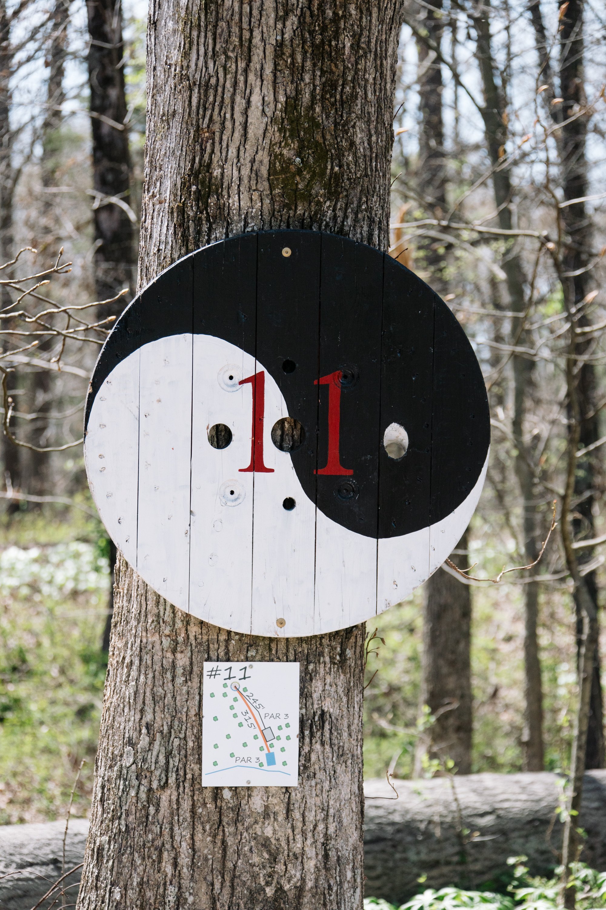 Fox Prairie Disc Golf Course-44.jpg