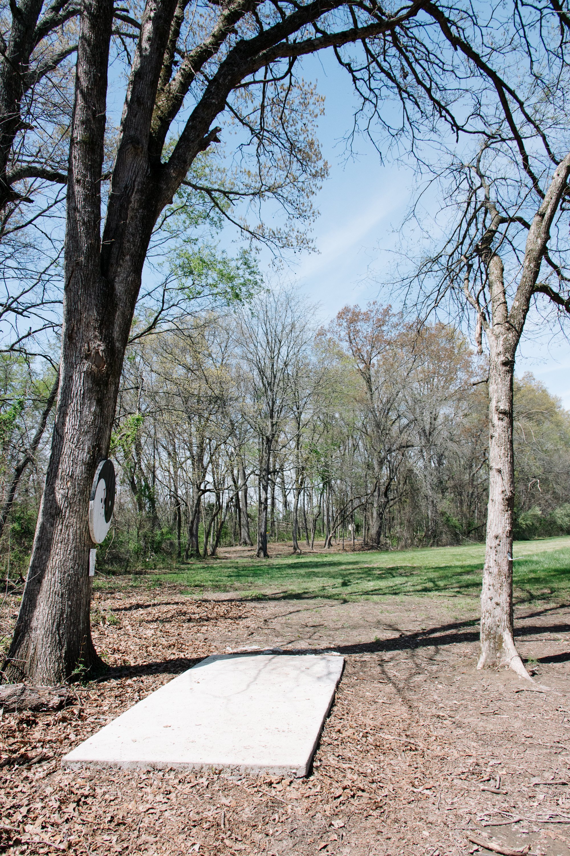 Fox Prairie Disc Golf Course-45.jpg