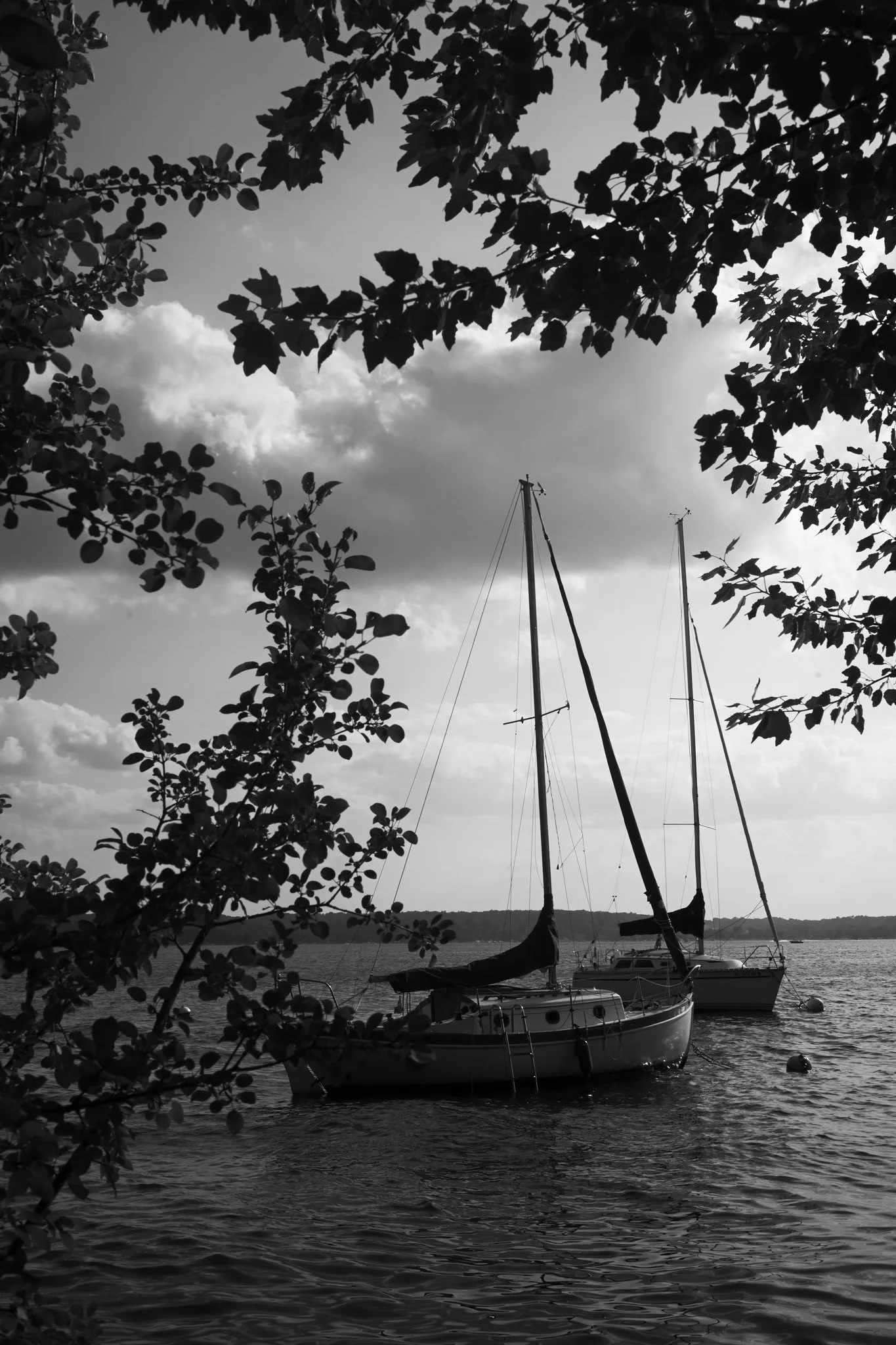 Lake Geneva Shore Path Photos-63.jpg